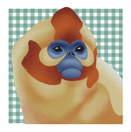 Asset 13.png