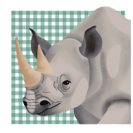 Asset 8.png