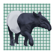 Asset 16.png