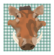 Asset 9.png