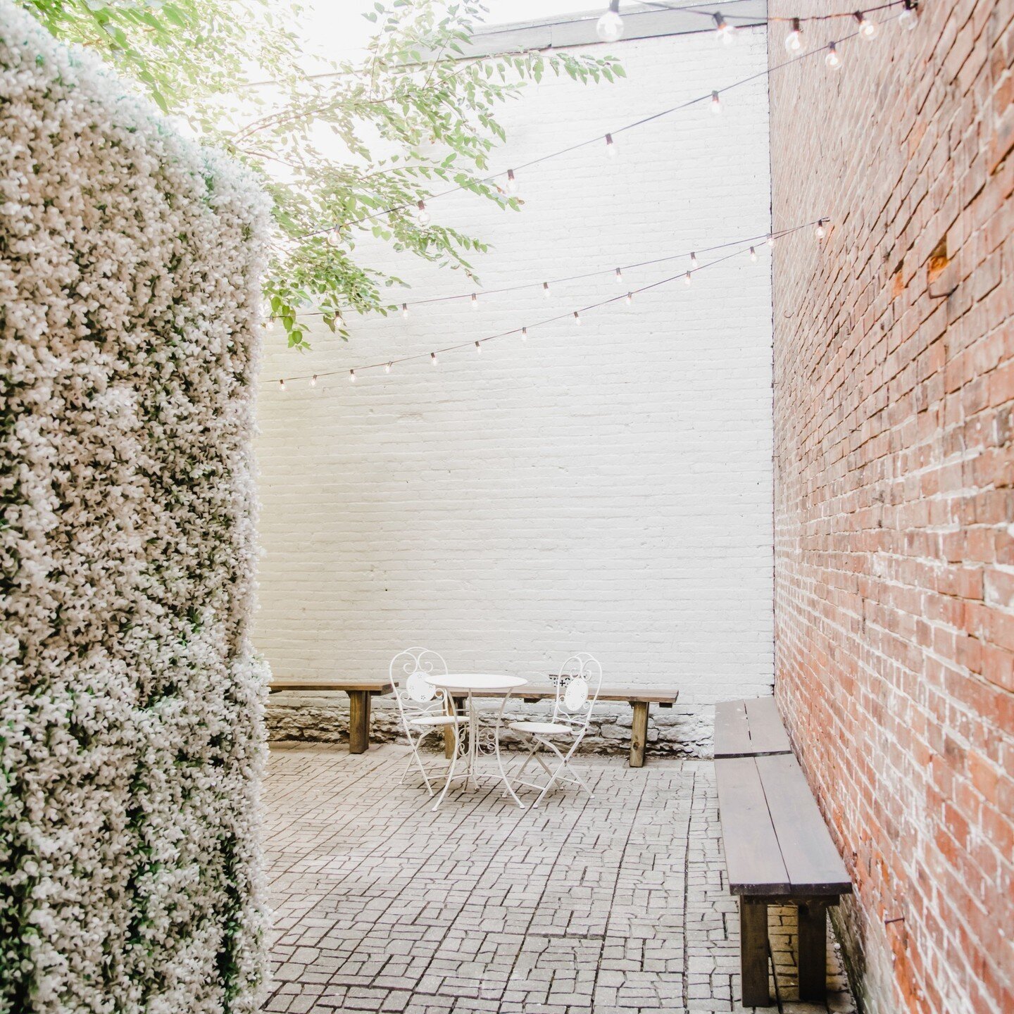 Durning the daytime the bright light shines though in our secluded back patio☀️ 
*
*
*
#ohiopartyvenue #ohioeventspace #ohioeventvenue #bridetobe #ohwedding #kywedding #cincinnatiwedding #cincyvenue #cincyeventspace #cincinnatieventvenue #cincinnatie