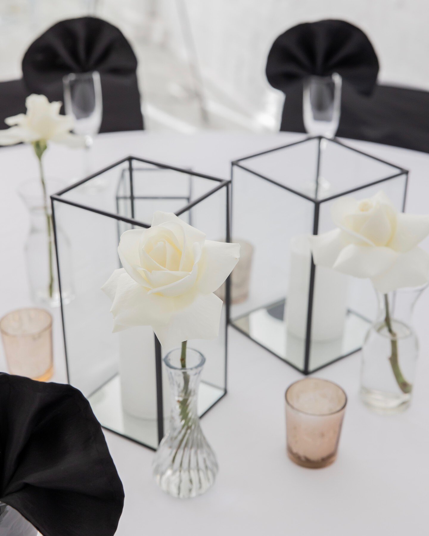 Keeping it simple and classy! These black terrariums create show stopping table decor that pair well with any event🖤 
*
*
*
#ohiopartyvenue #ohioeventspace #ohioeventvenue #bridetobe #ohwedding #kywedding #cincinnatiwedding #cincyvenue #cincyeventsp