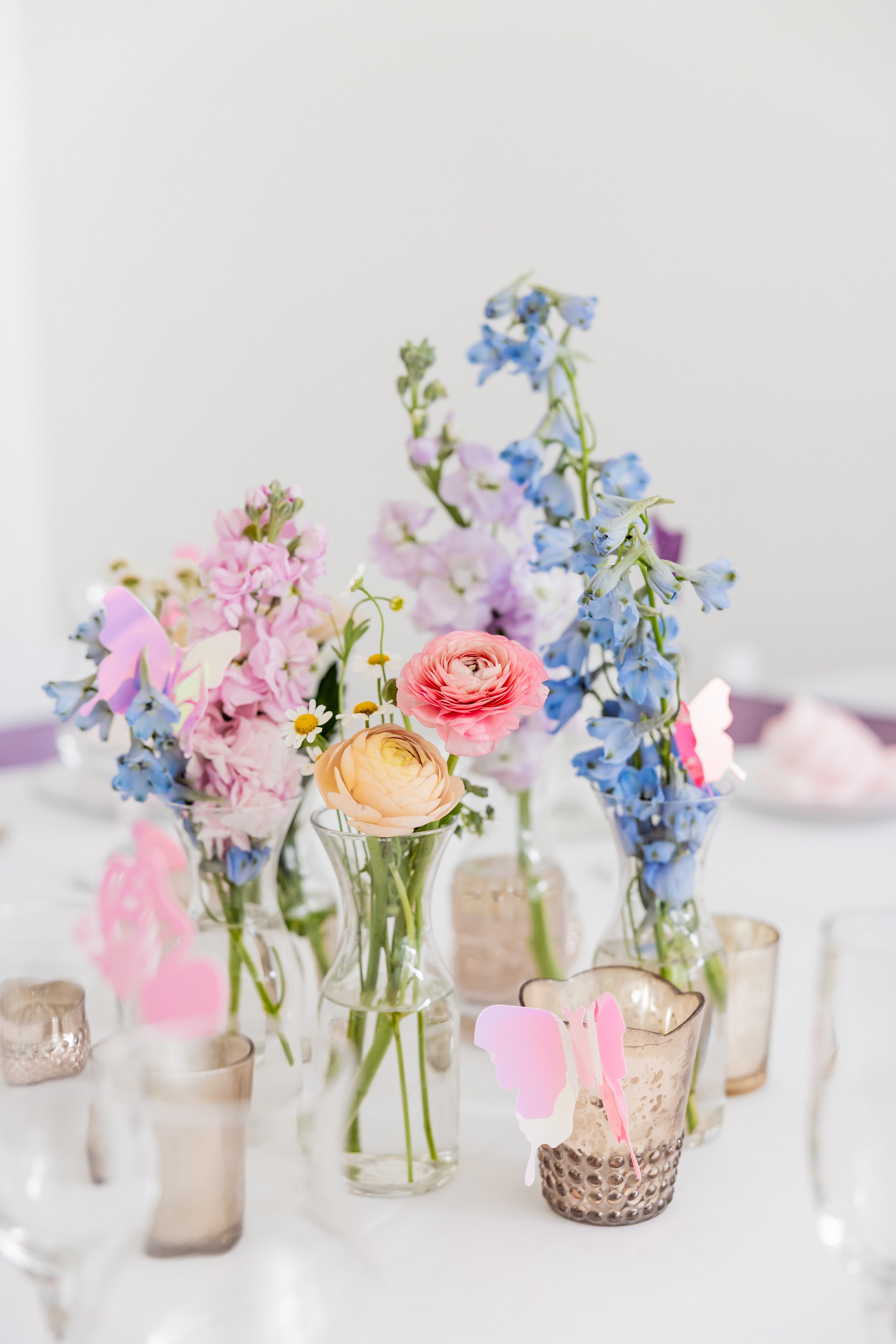 Butterflies &amp; Wildflowers