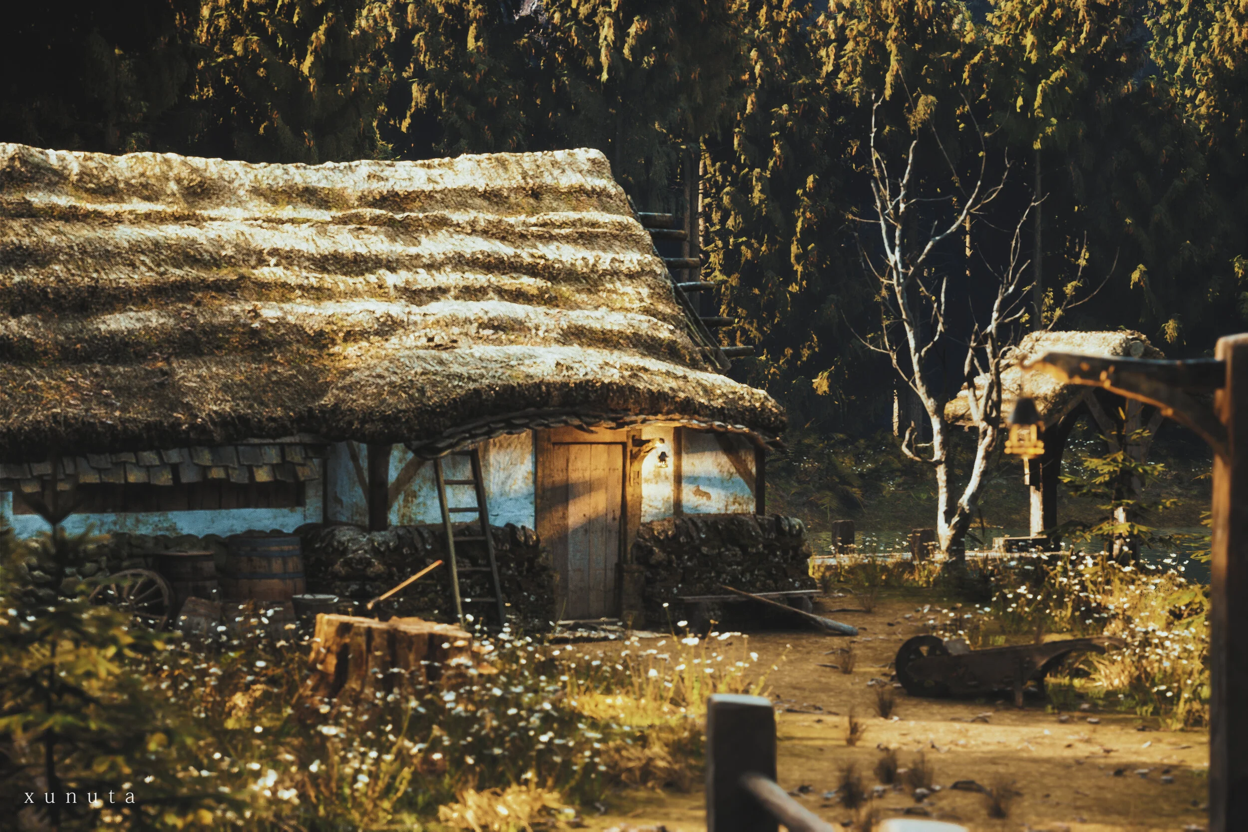 01.jpg