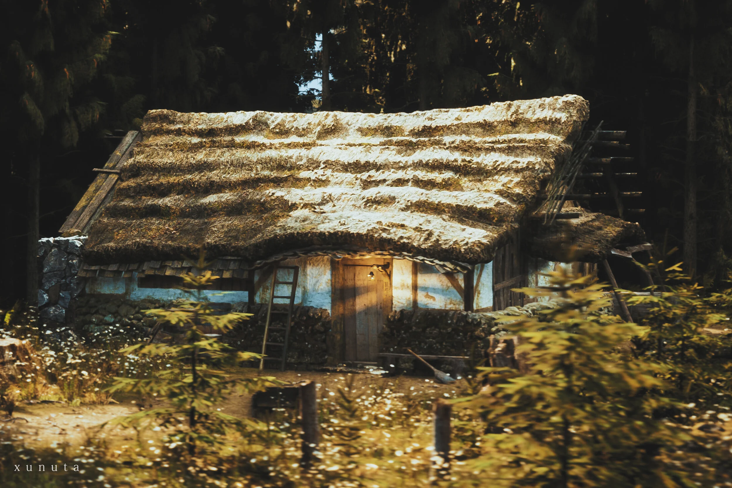 06.jpg