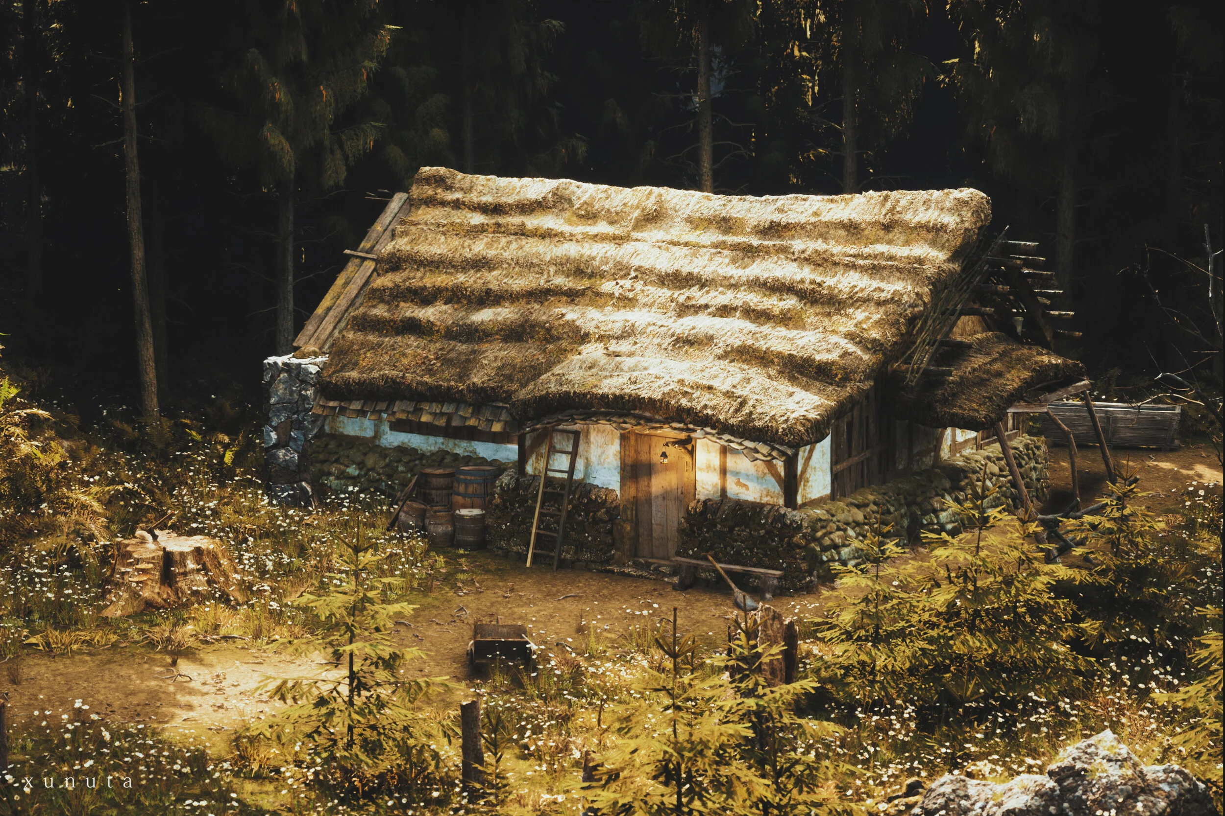 07.jpg