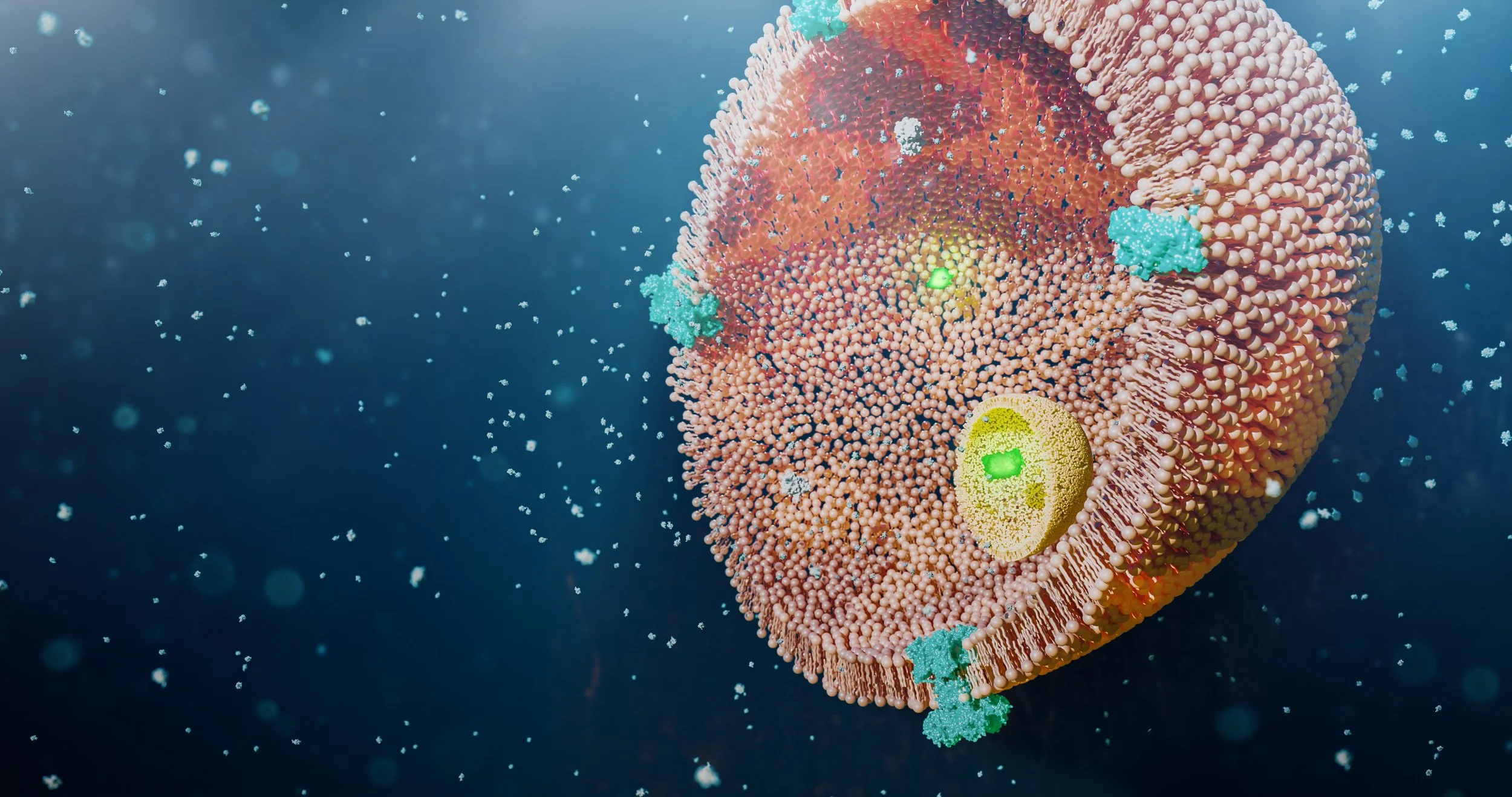 GFP_Localization_Cinematic-FOR ARTSTATION.jpg