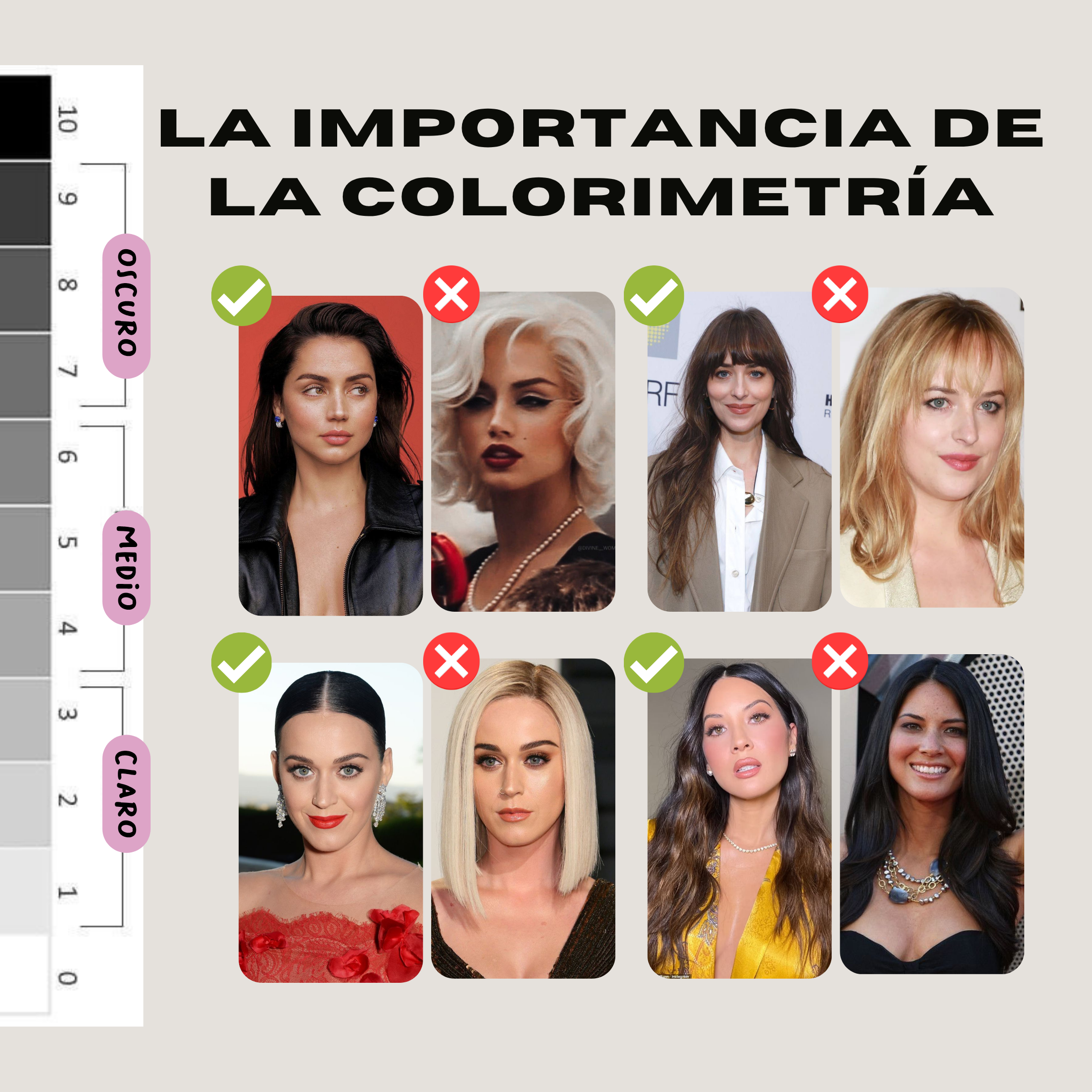 IMAGENES. SERVICIOS Y CURSOS (7).png