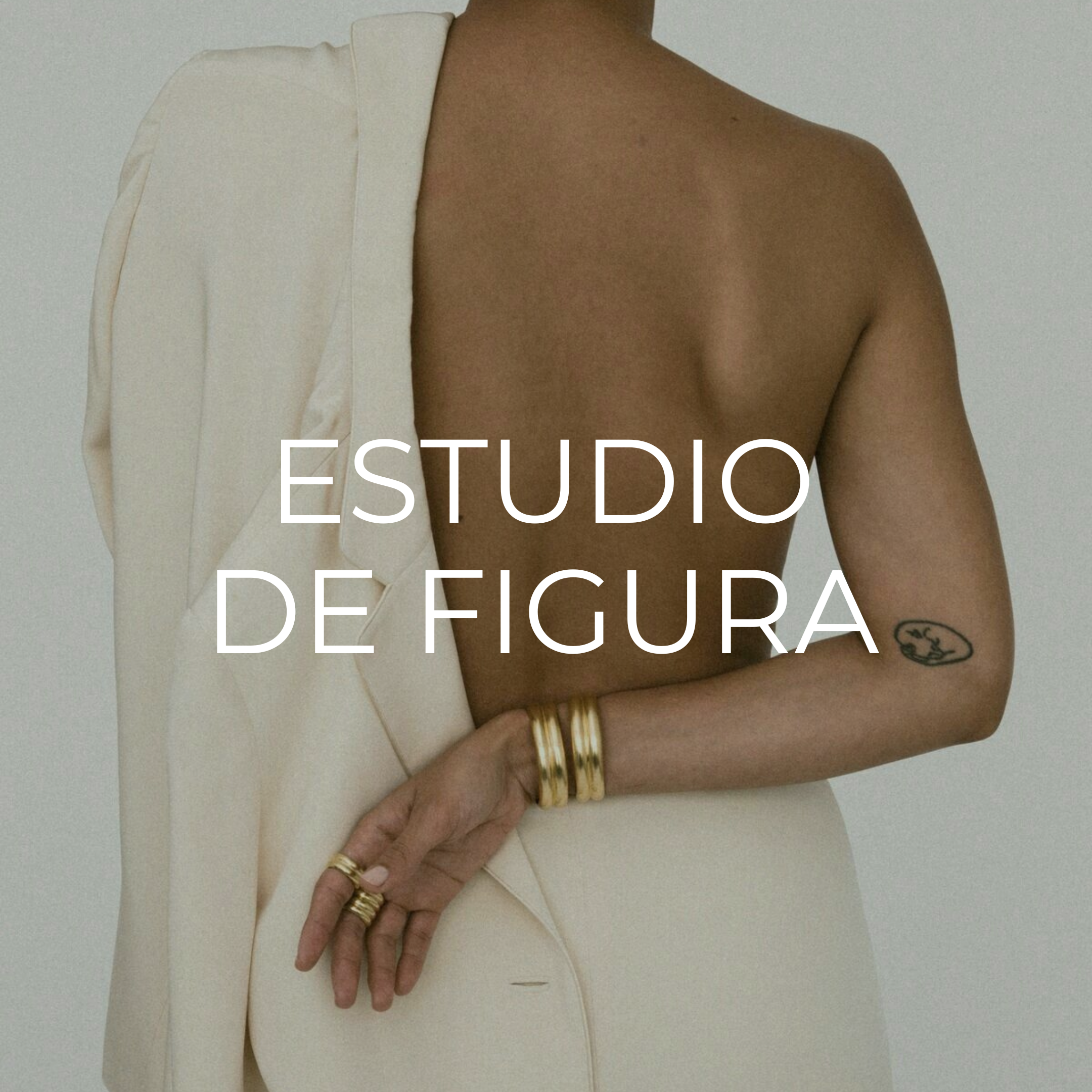 Estudio de figura