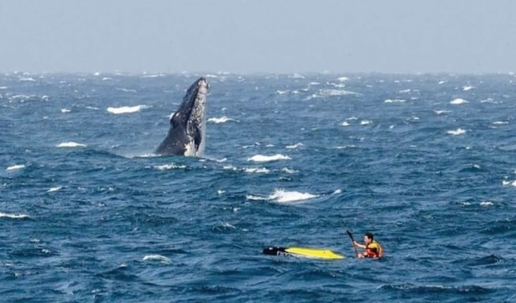 Big Shout Out to Coach Kurt After Another Great 3PC Challenge Prep Program (that’s him with the whale!)