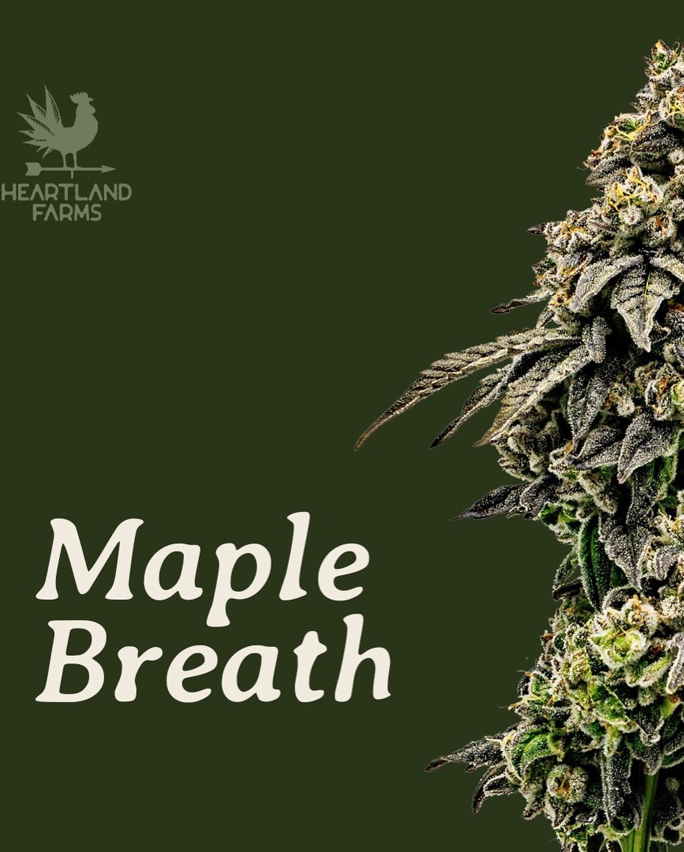 Nothing for sale on IG

One of our favorites of the new strains is Maple Breath by @Maplerock2019. MB is a hybrid that is perfect for spring! Sweet and savory, great for anxiety, stress, insomnia. Drop a 🍁 if you&rsquo;re ready for this 🔥 Nothing f