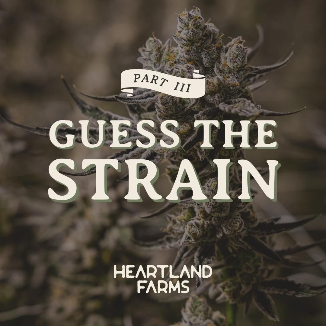 Guess who&rsquo;s back, back again. It&rsquo;s Guess the Strain pt. III&hellip; share your guesses in the comments for these new strains that will be featured in the next few weeks. These strains are 🔥 we&rsquo;re stoked to share them with the Oklah