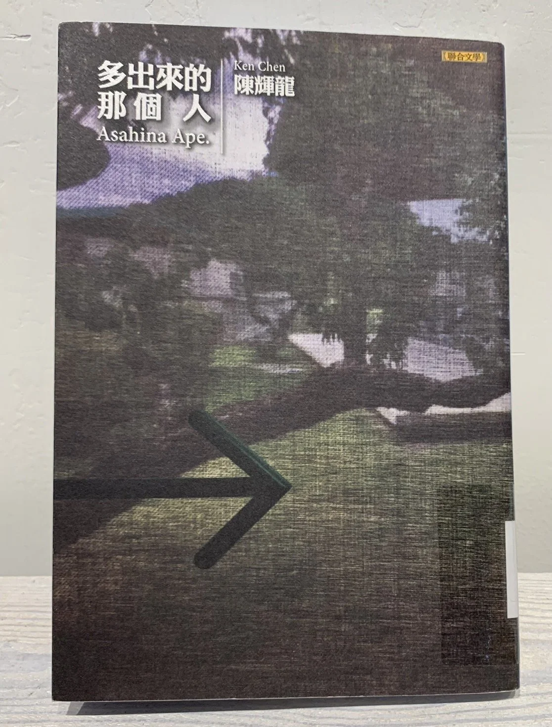 多出來的那個人  | Asahina Ape (2018， 聯合文學)