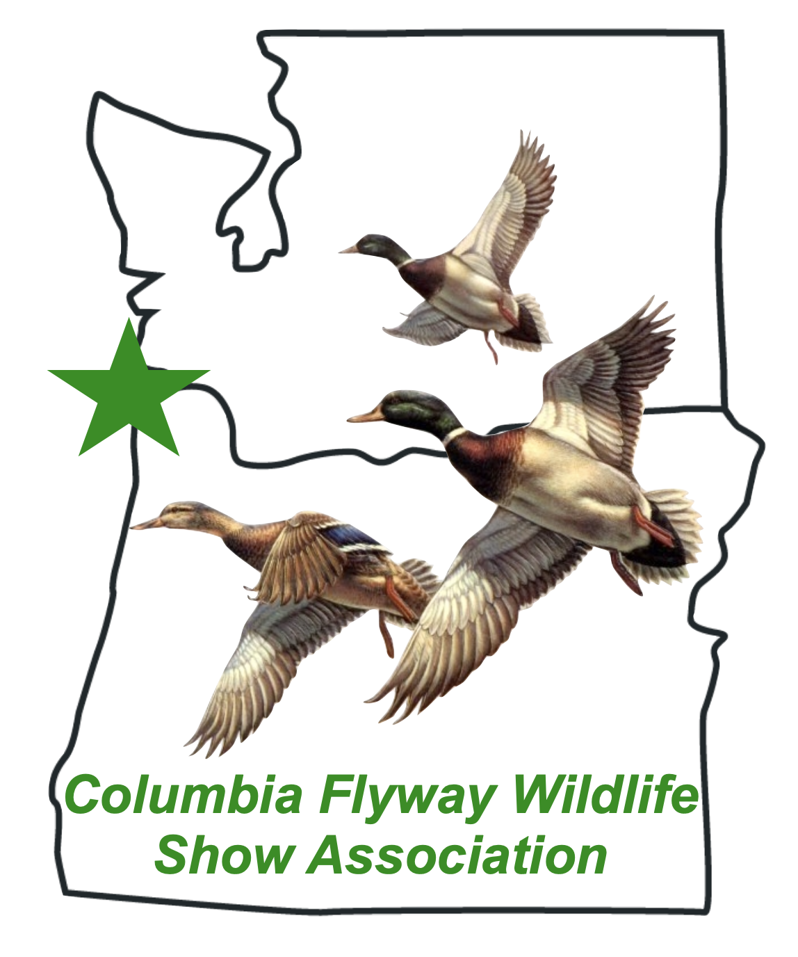 Competition Divisions — Columbia Flyway Wildlife Show
