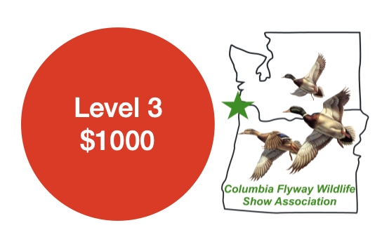 Level 3 Sponsorship - $1000