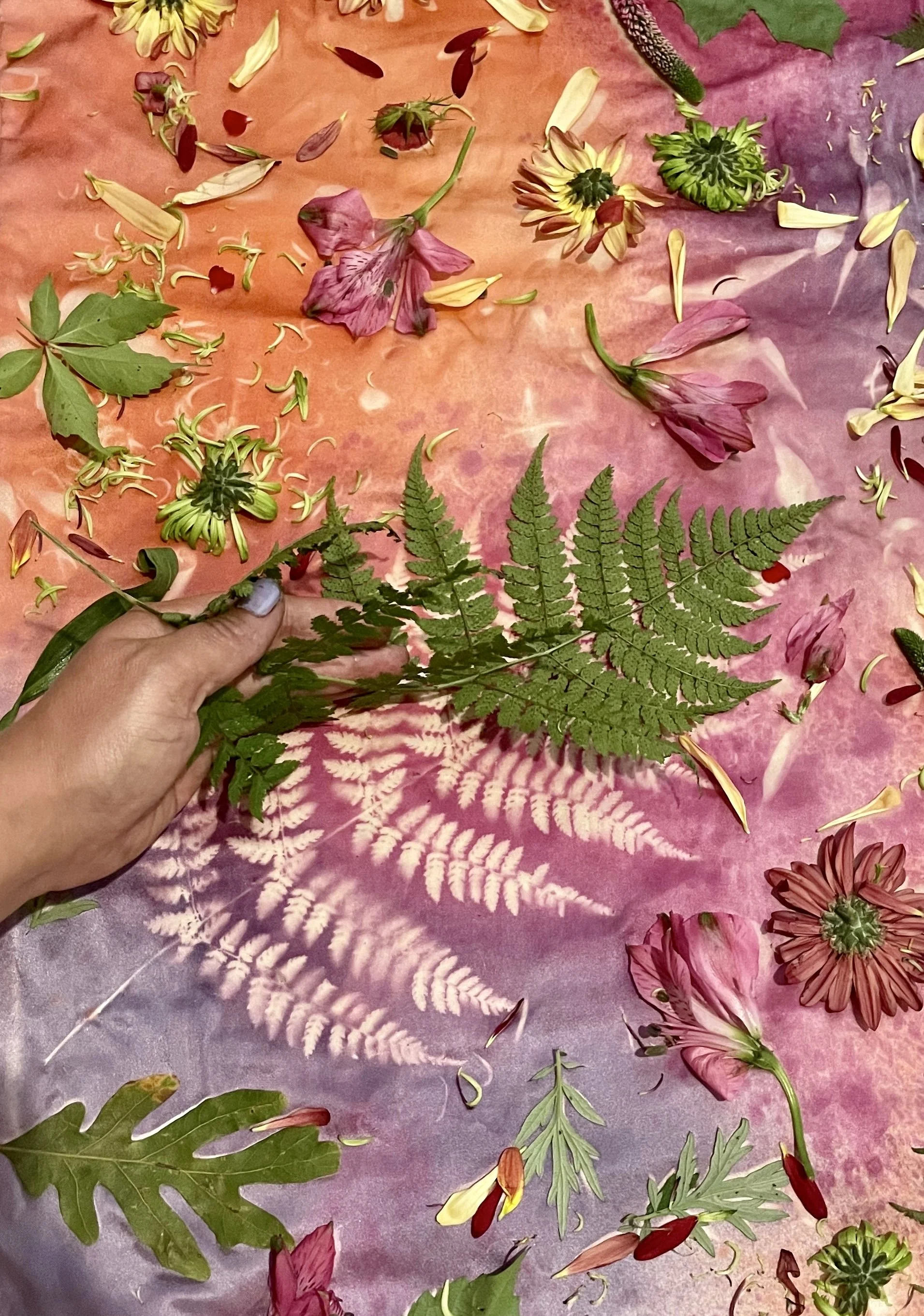 Private Dye Class