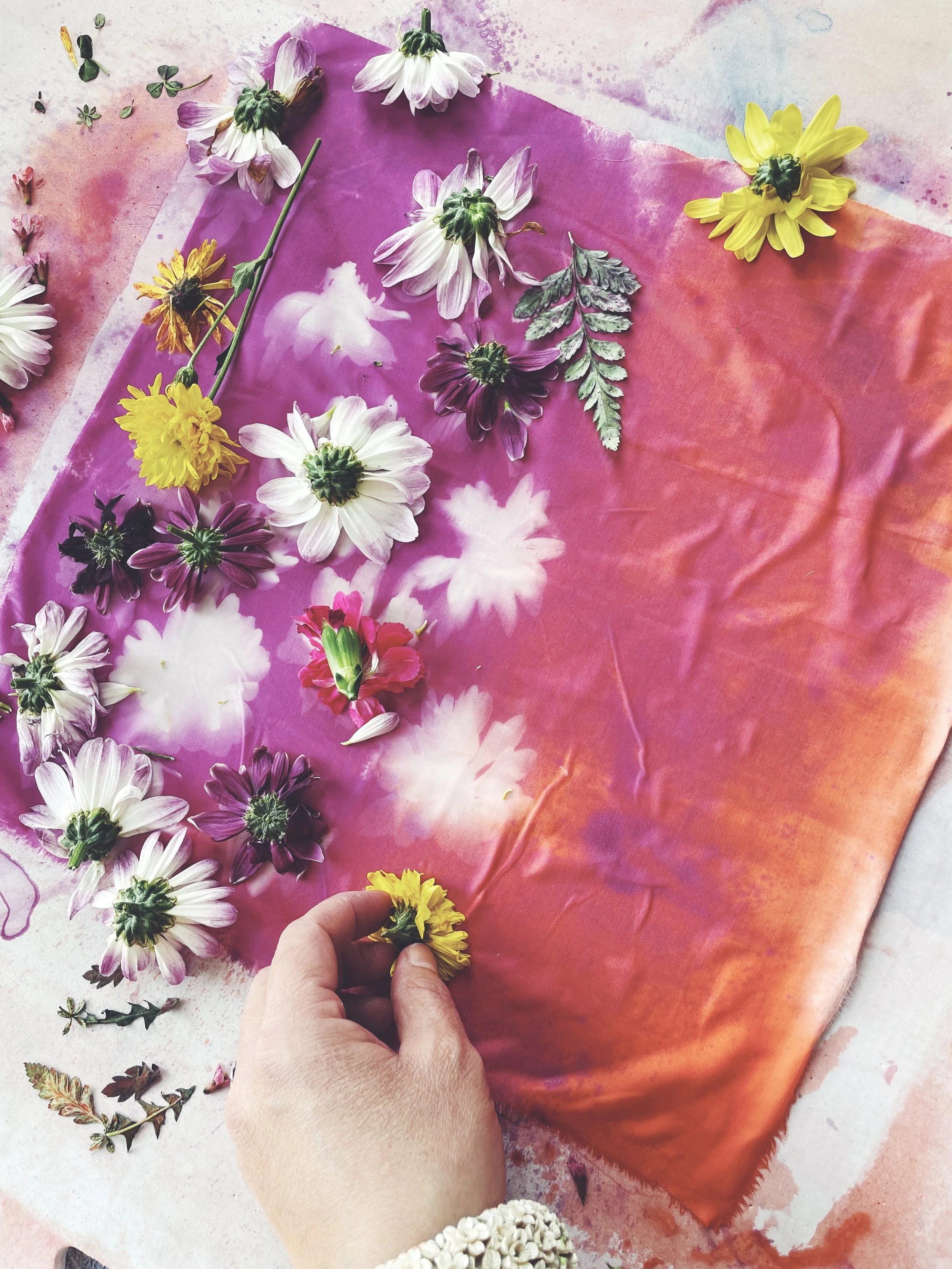 Blooming Together: Solar Dye Thursday, May 7, 2026 6:30 - 8:00 pm SHIFT Narberth