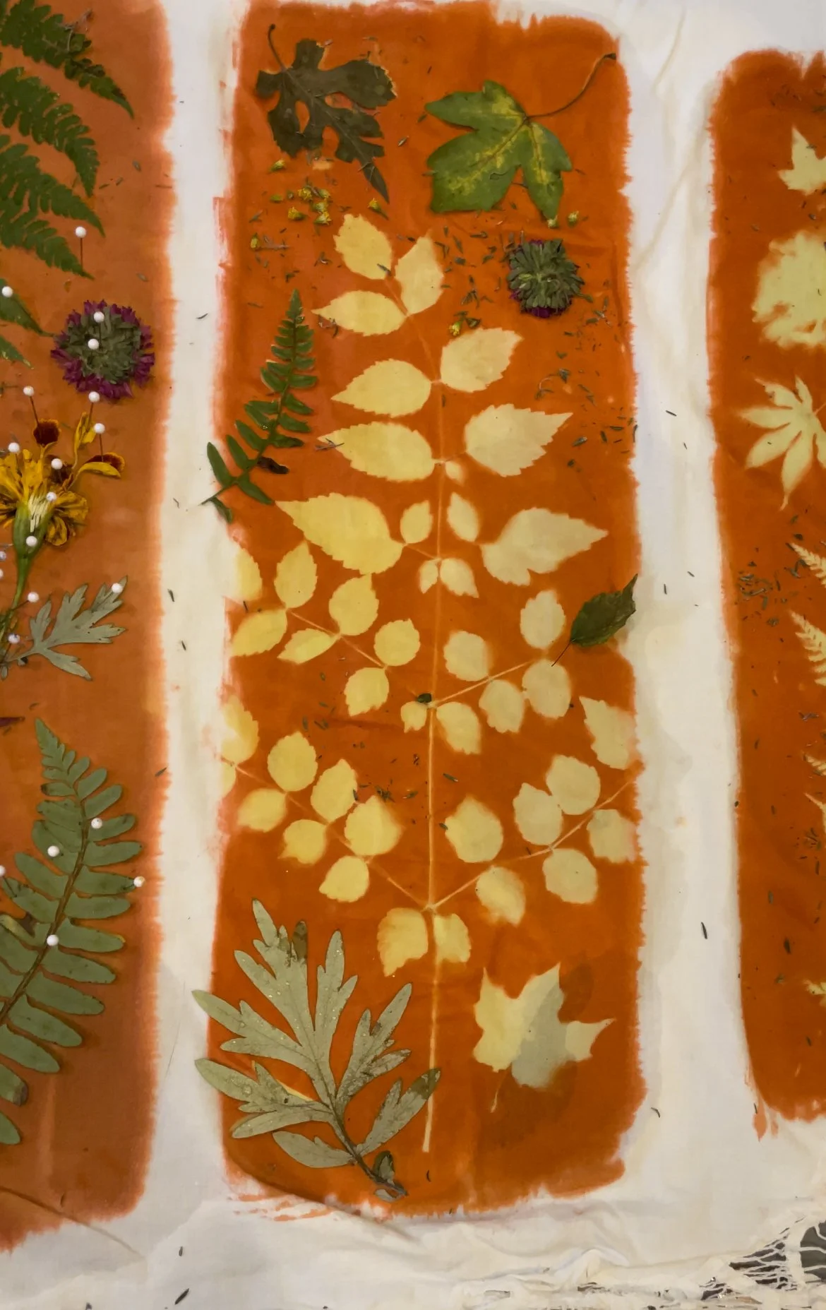 48F1C594-CD81-43DE-93BD-B339AC69320E_L0_001-9_8_2025, 9_59_38 PM.jpg