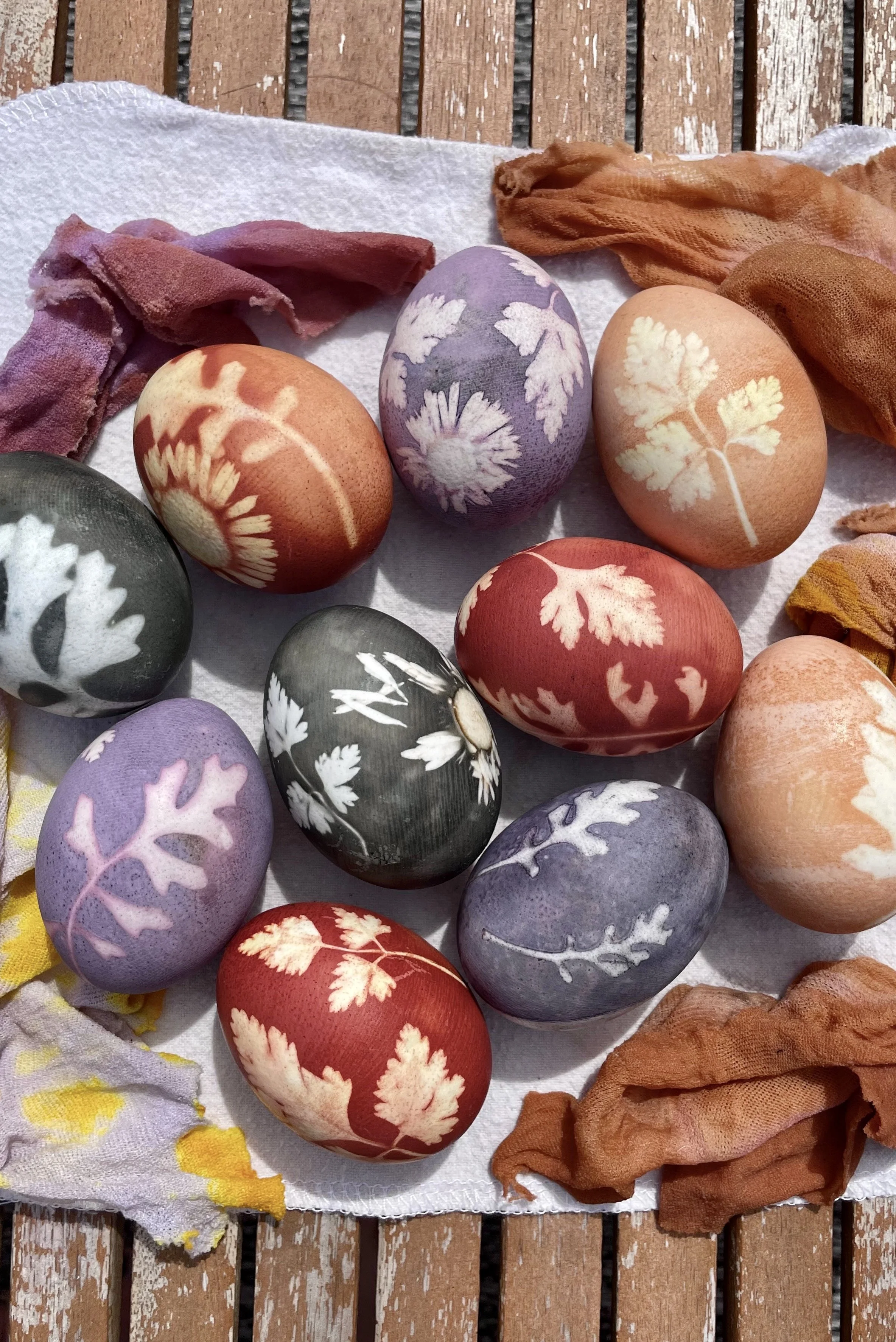 Easter Egg Hunt Avenues of Change