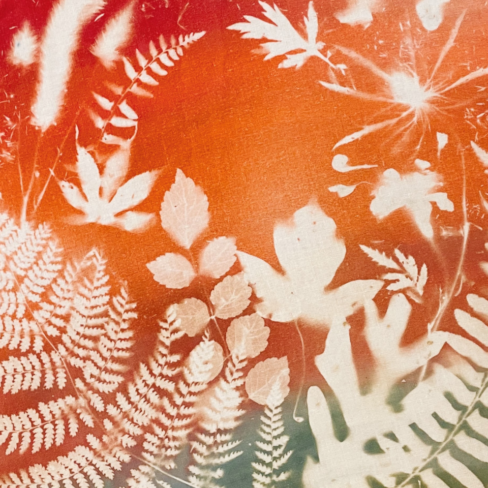 Botanical Alchemy: Mandala Banners with Nature