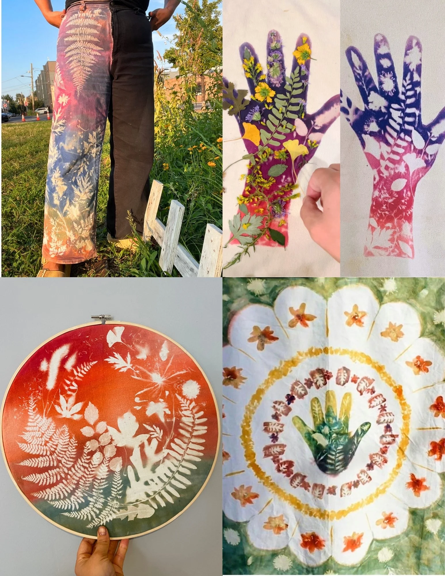 Botanical Solar (1).jpg