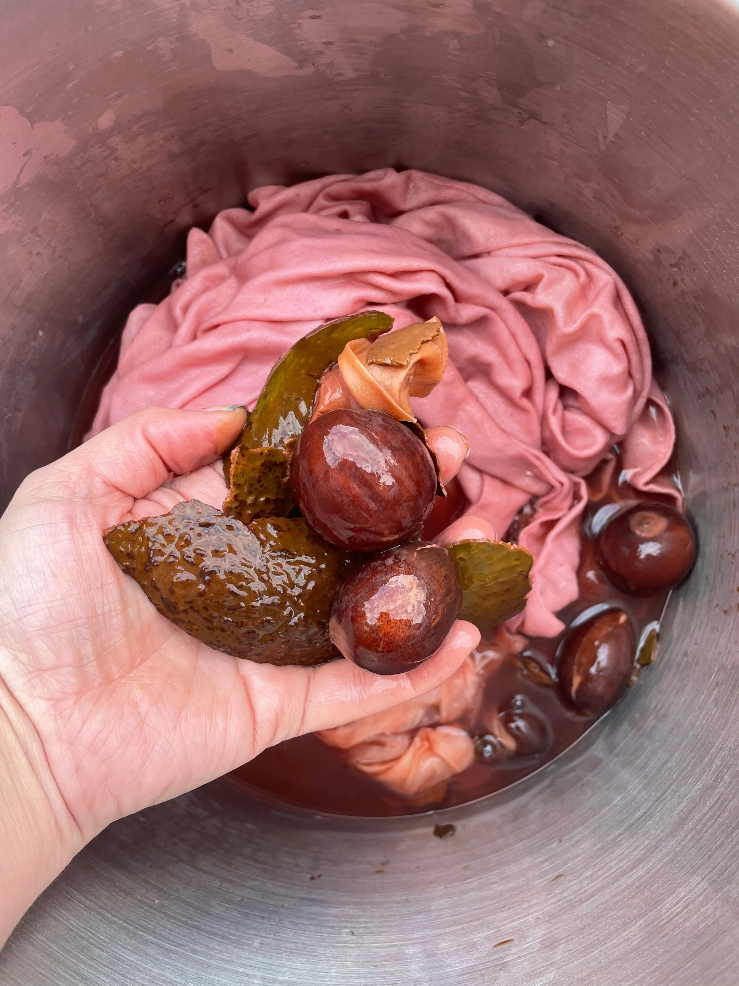 Avocado Alchemy Live: A Natural Dyeing Guide & Video