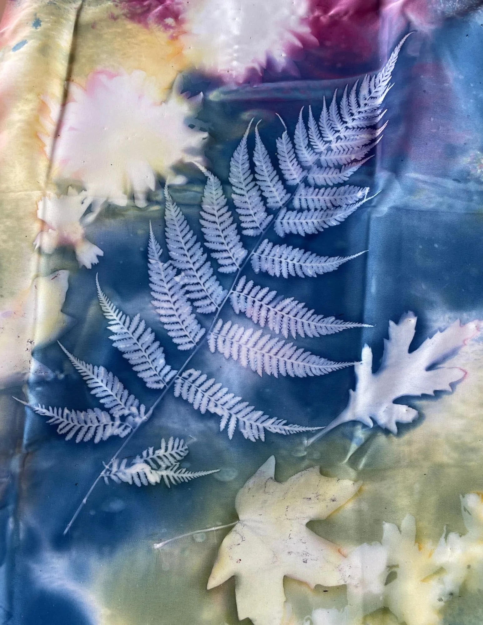 Dye on the Side Botanical Solar Dyeing example (1).jpg