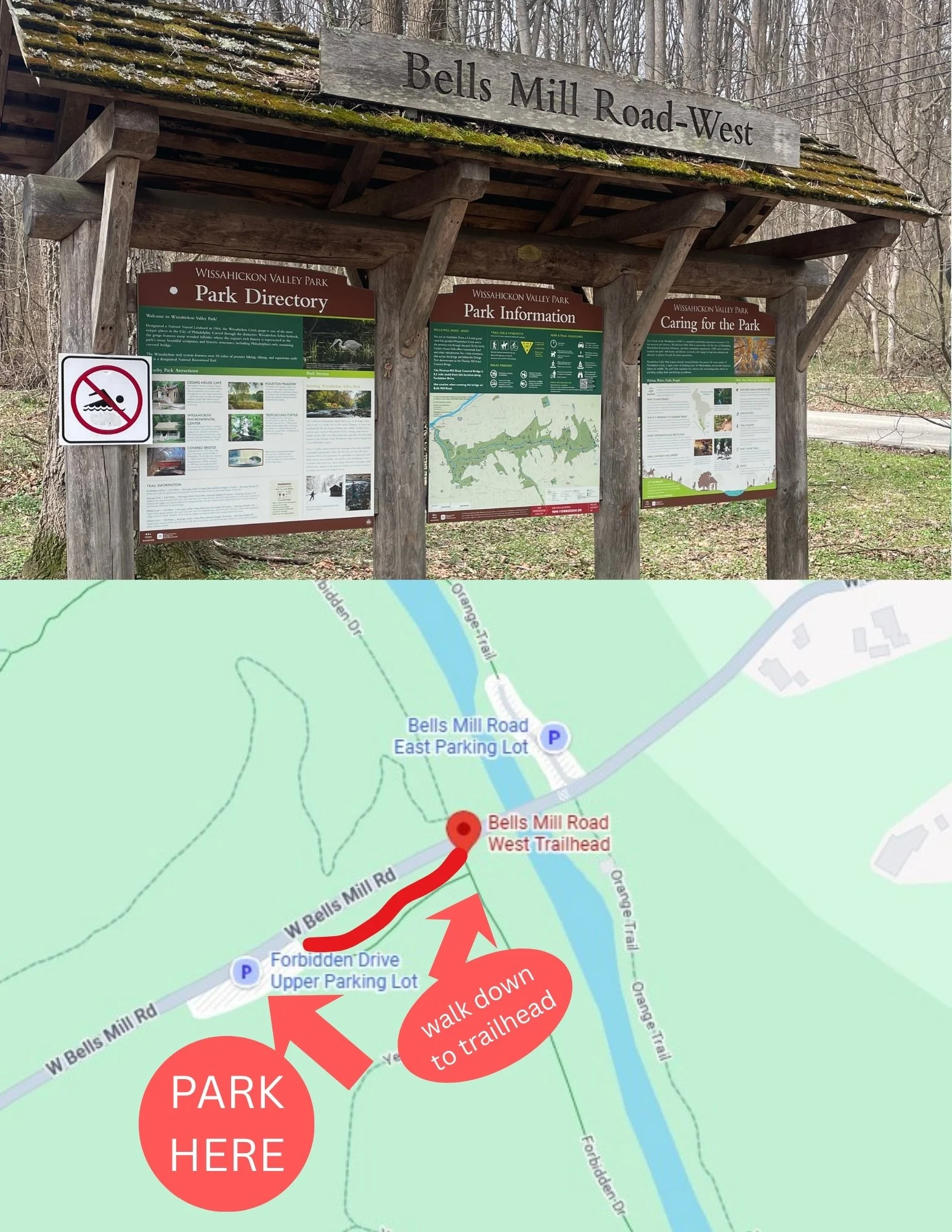 PARK HERE (1).jpg