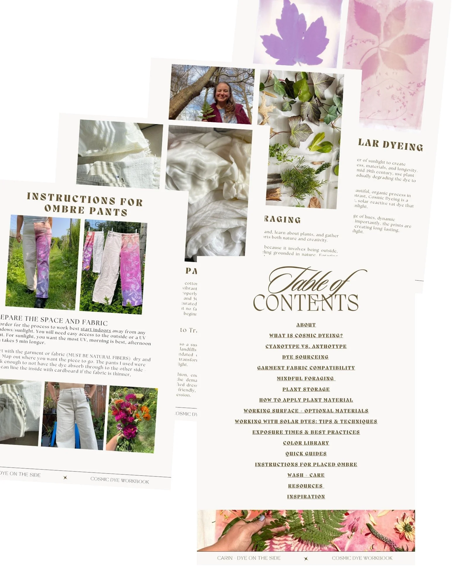 Botanical Solar (3).jpg