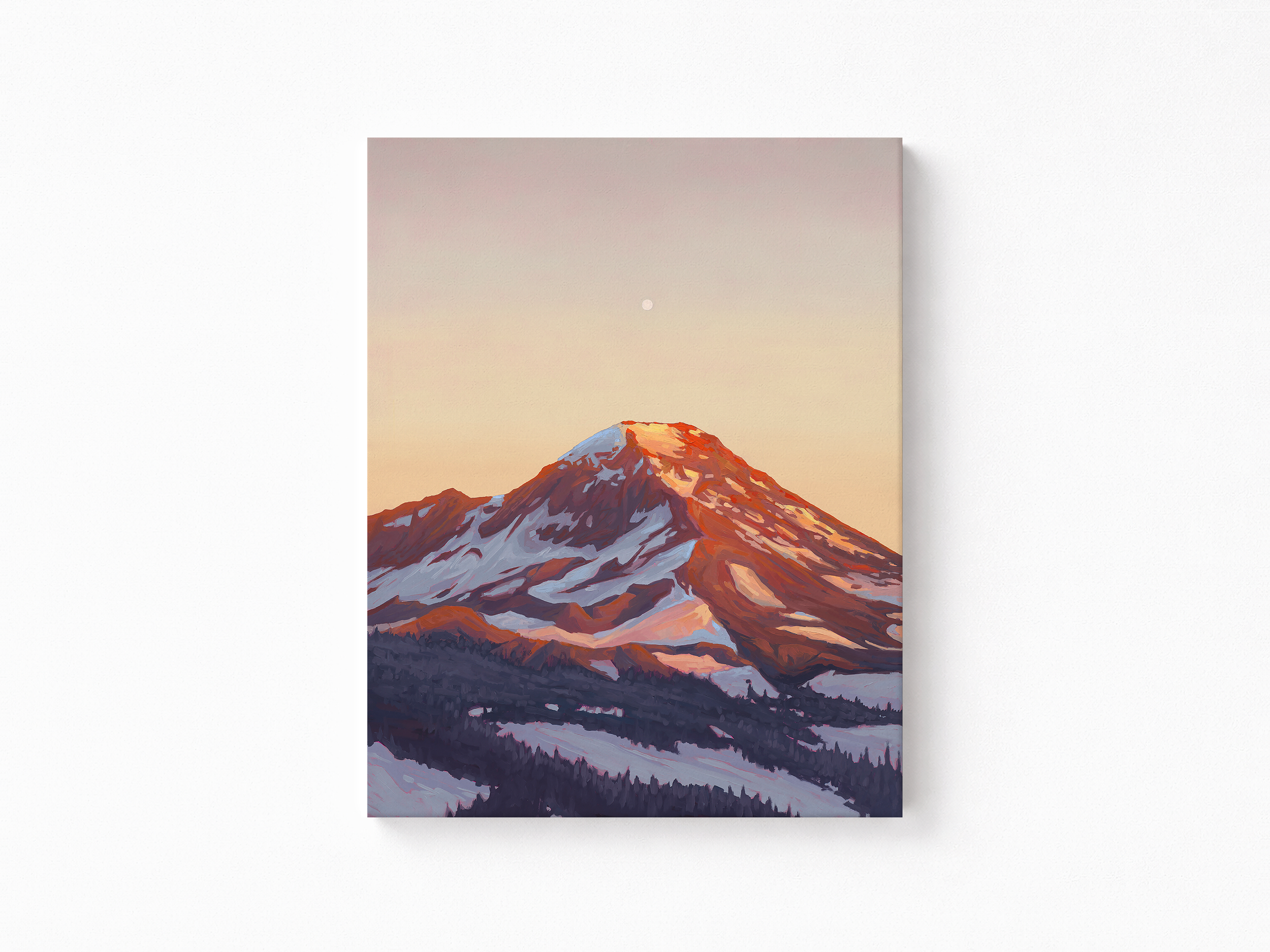 In Wonder Canvas Print.png