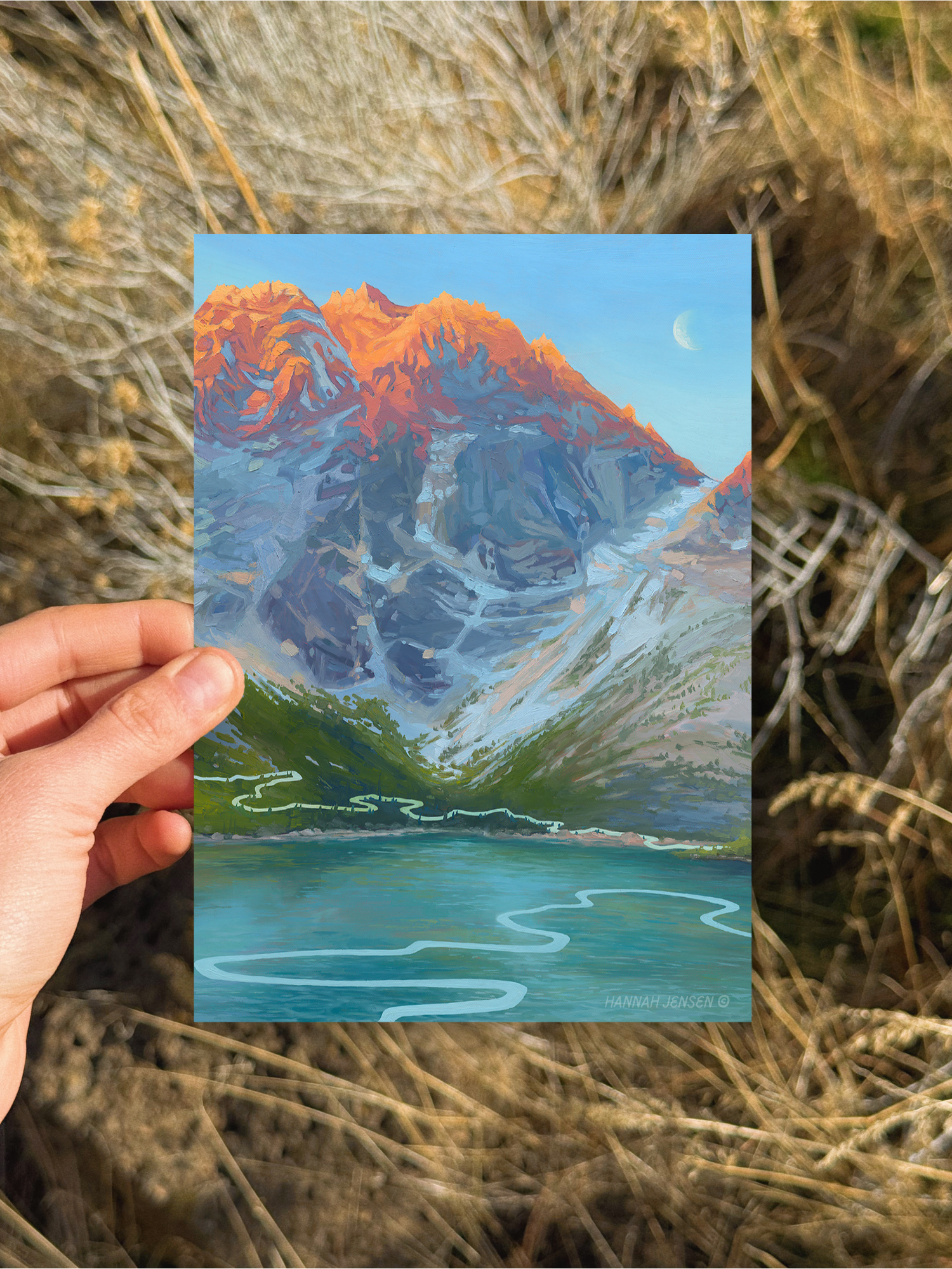 "Enchantments" Greeting Card