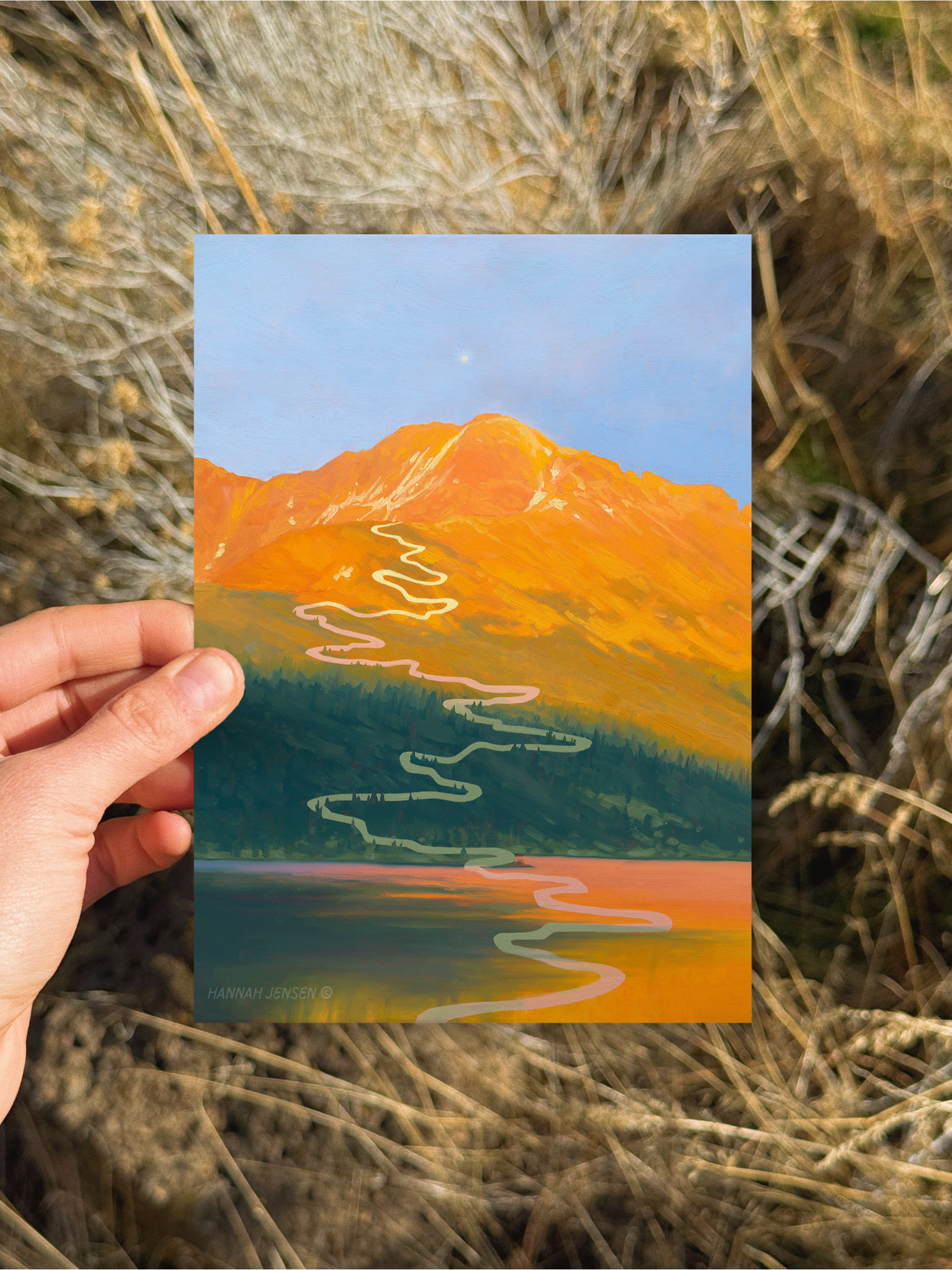 "Last Light" Greeting Card