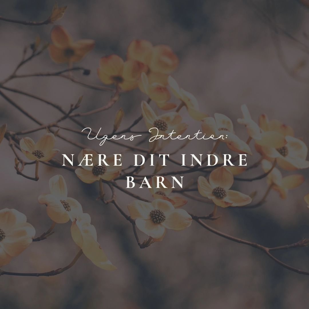 🍁 Ugens intention handler om at n&aelig;re sit indre barn. 🍁

Lige siden jeg blev mor har jeg f&aring;et &oslash;jnene op for, hvor vigtigt det er at arbejde med mit indre barn og de traumer, sorg og ar som jeg har taget med mig fra barndommen og i