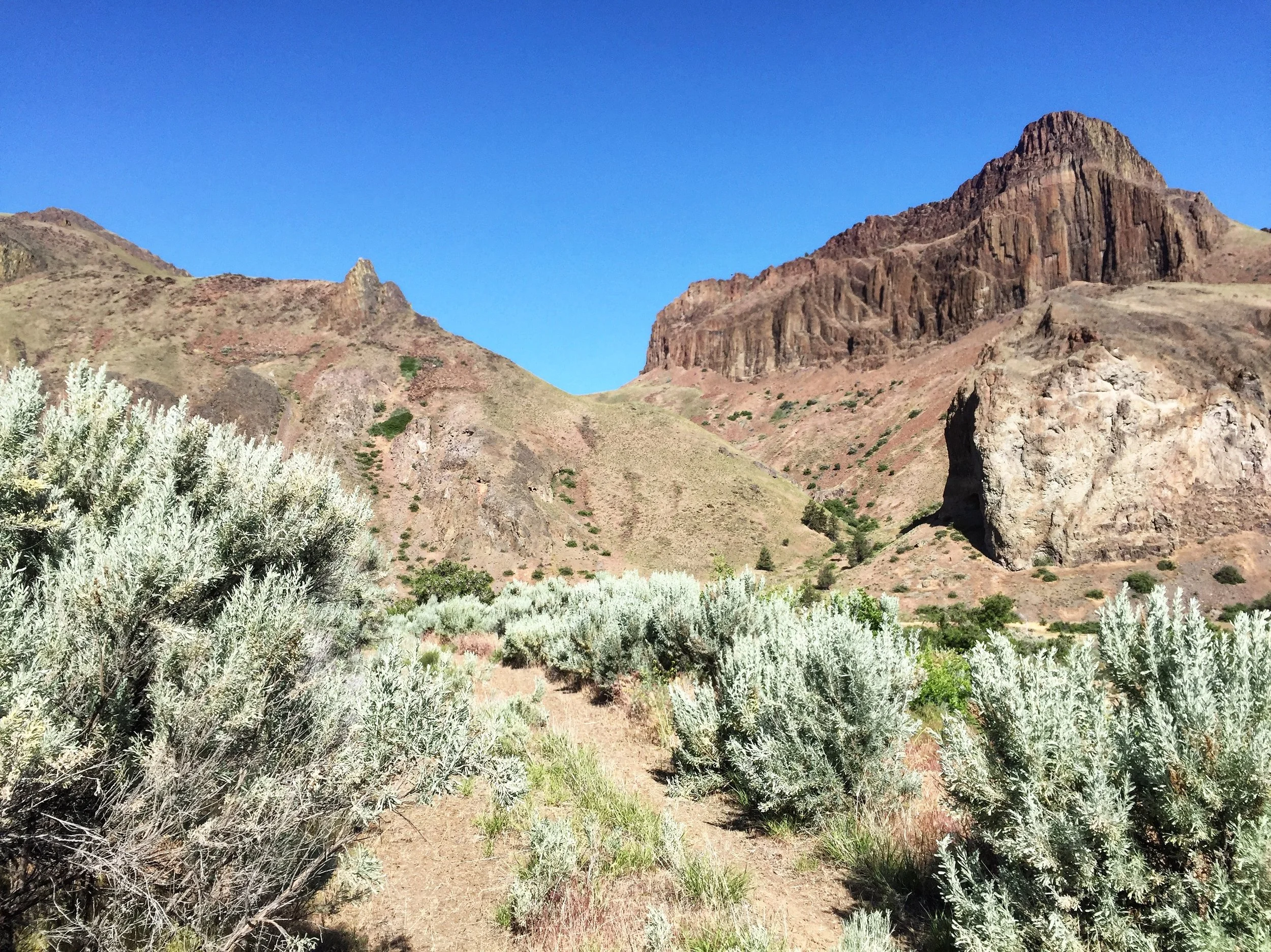 BADLANDS / Sagebrush, Juniper, Smoke, Petrichor — Firn Handcrafted