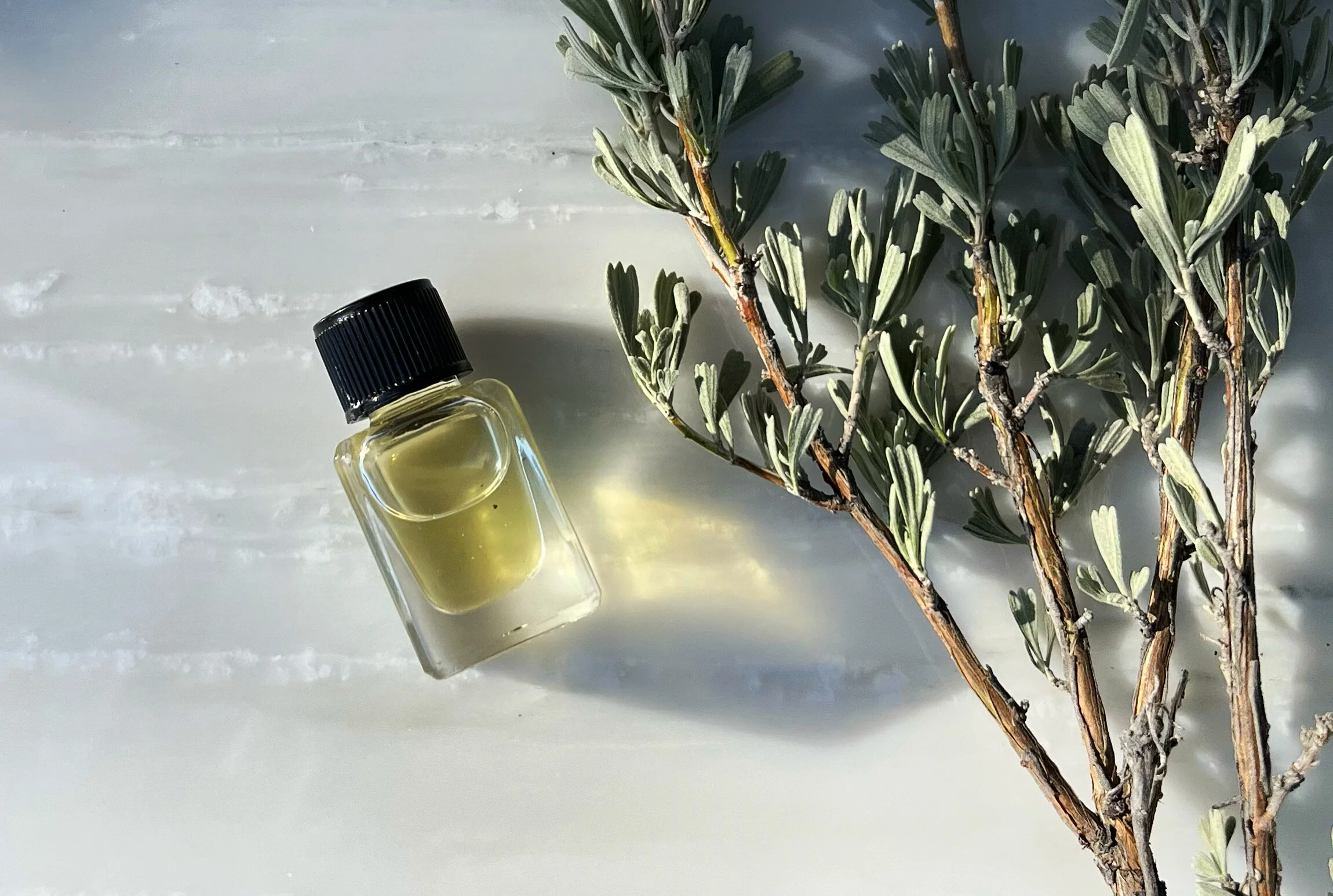 0DF97C2D-C129-4374-BACA-6F8B586E56F6