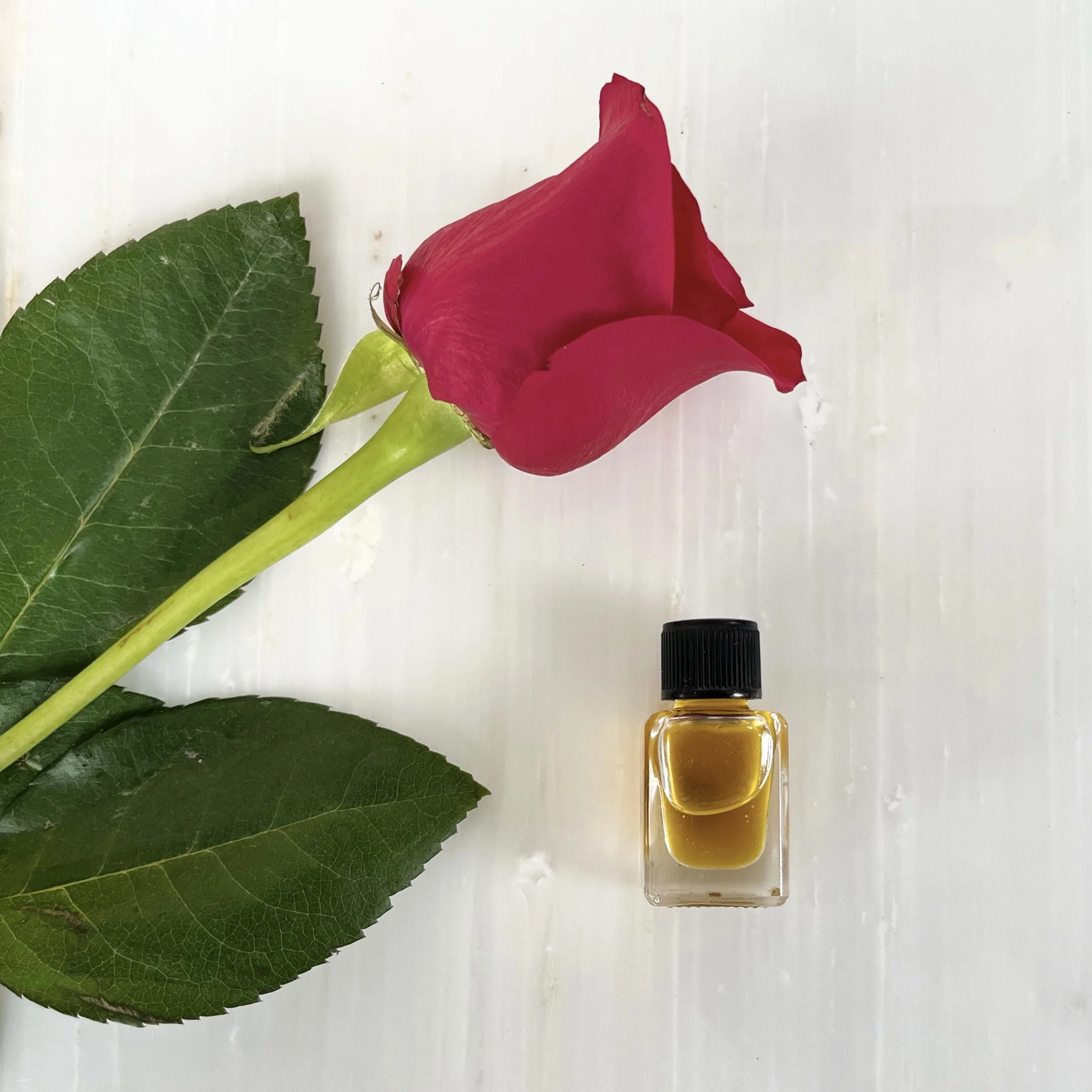 2F5CC461-1E3E-4F5B-86AE-35CBABEC68A4