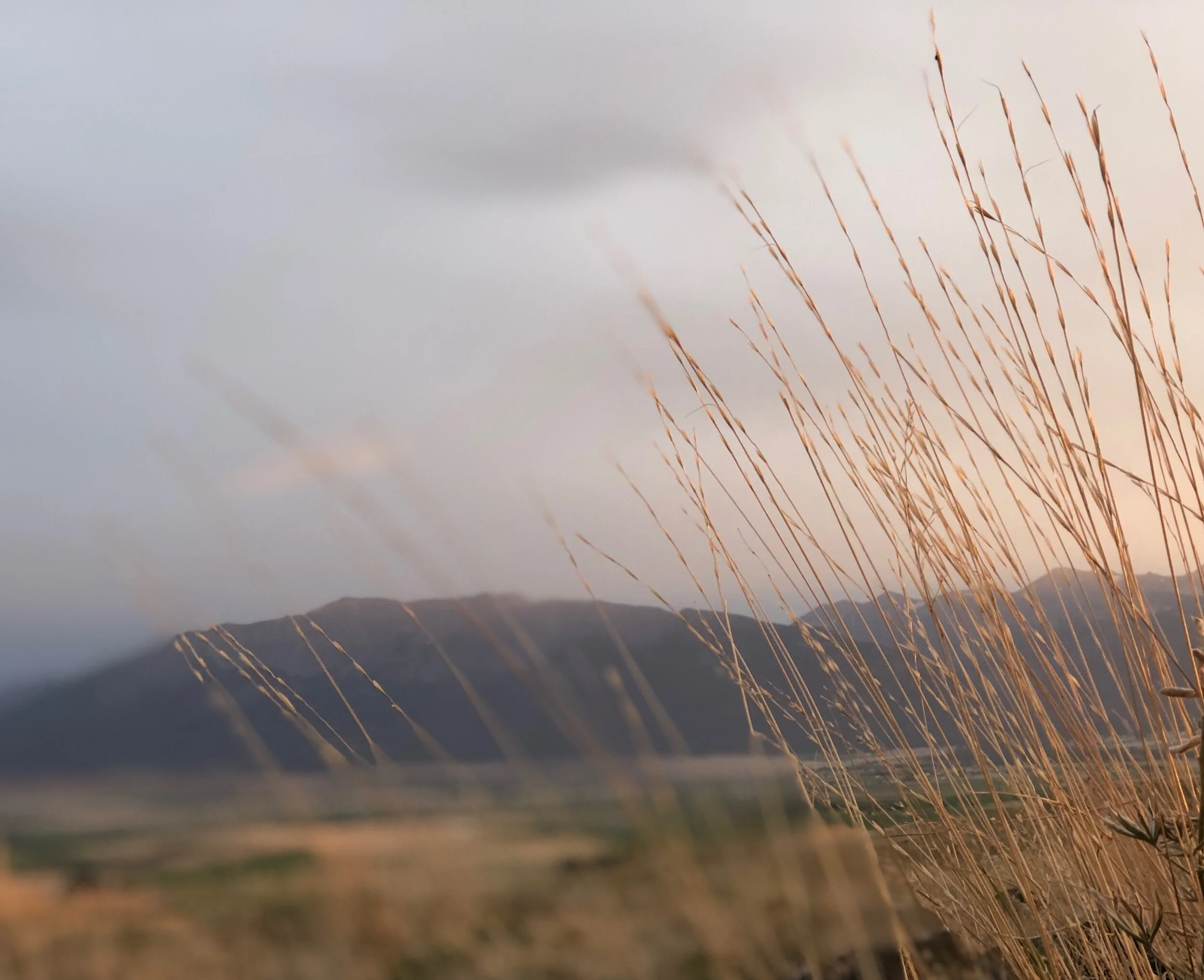 AA108674-6653-48D1-A38A-84EADE7A31D5