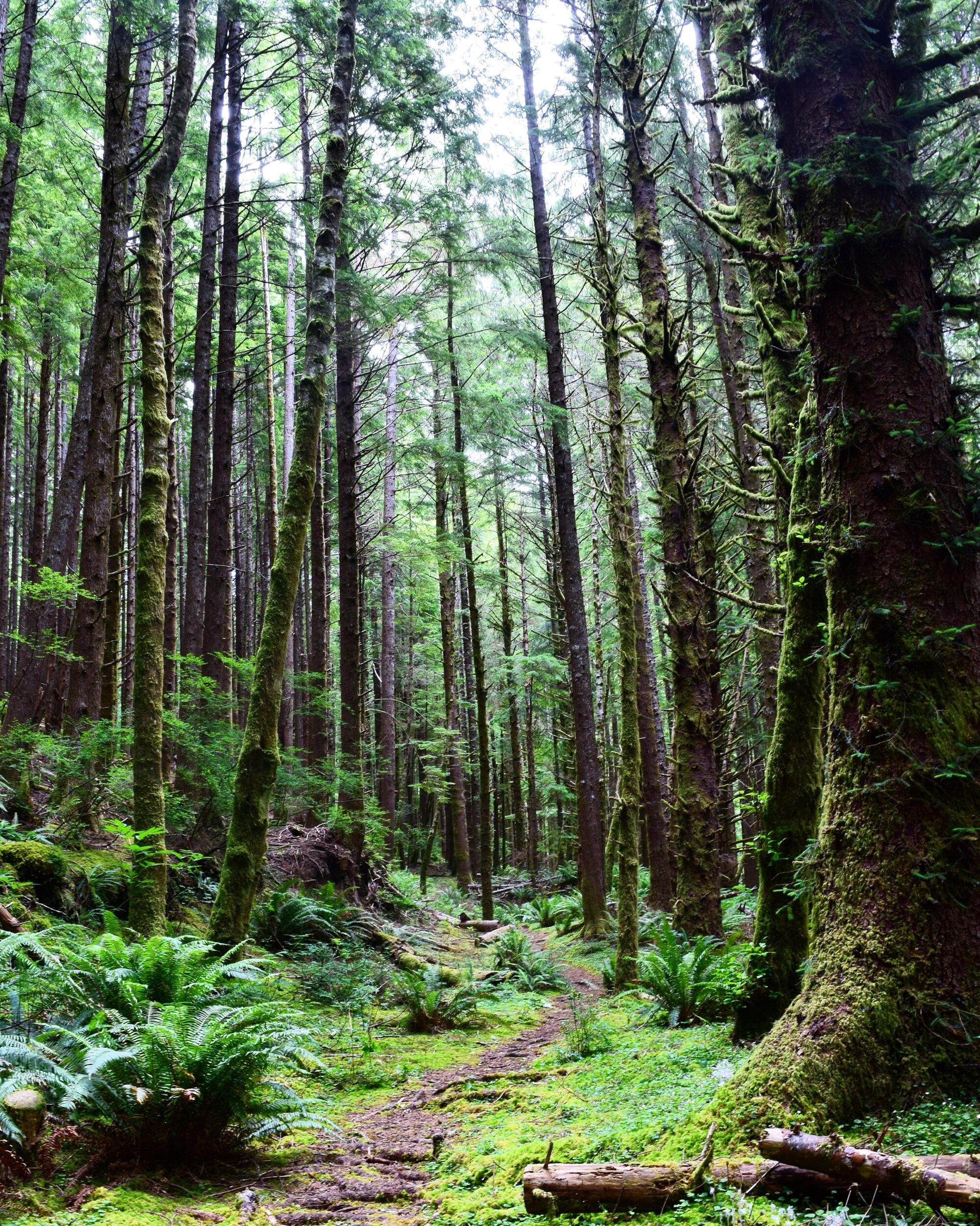 E930FE24-D9EA-4F58-9D43-7592D3BCE0B9