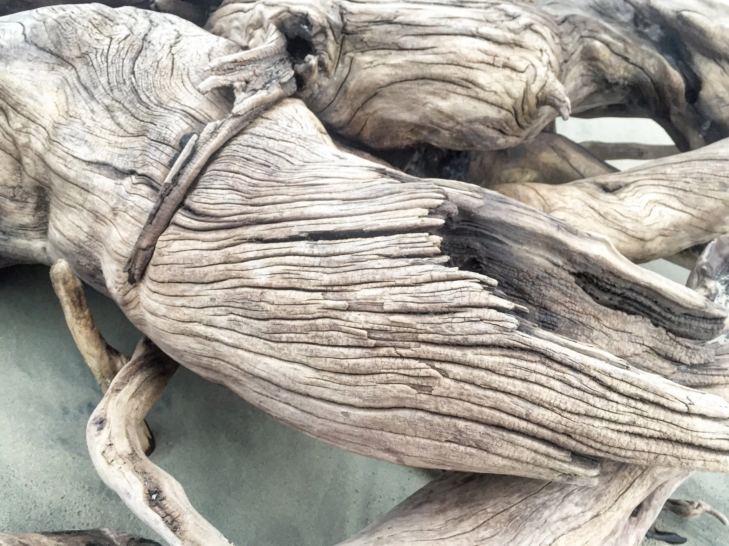 CE816FB5-9614-4C6A-9D32-FD392464696D