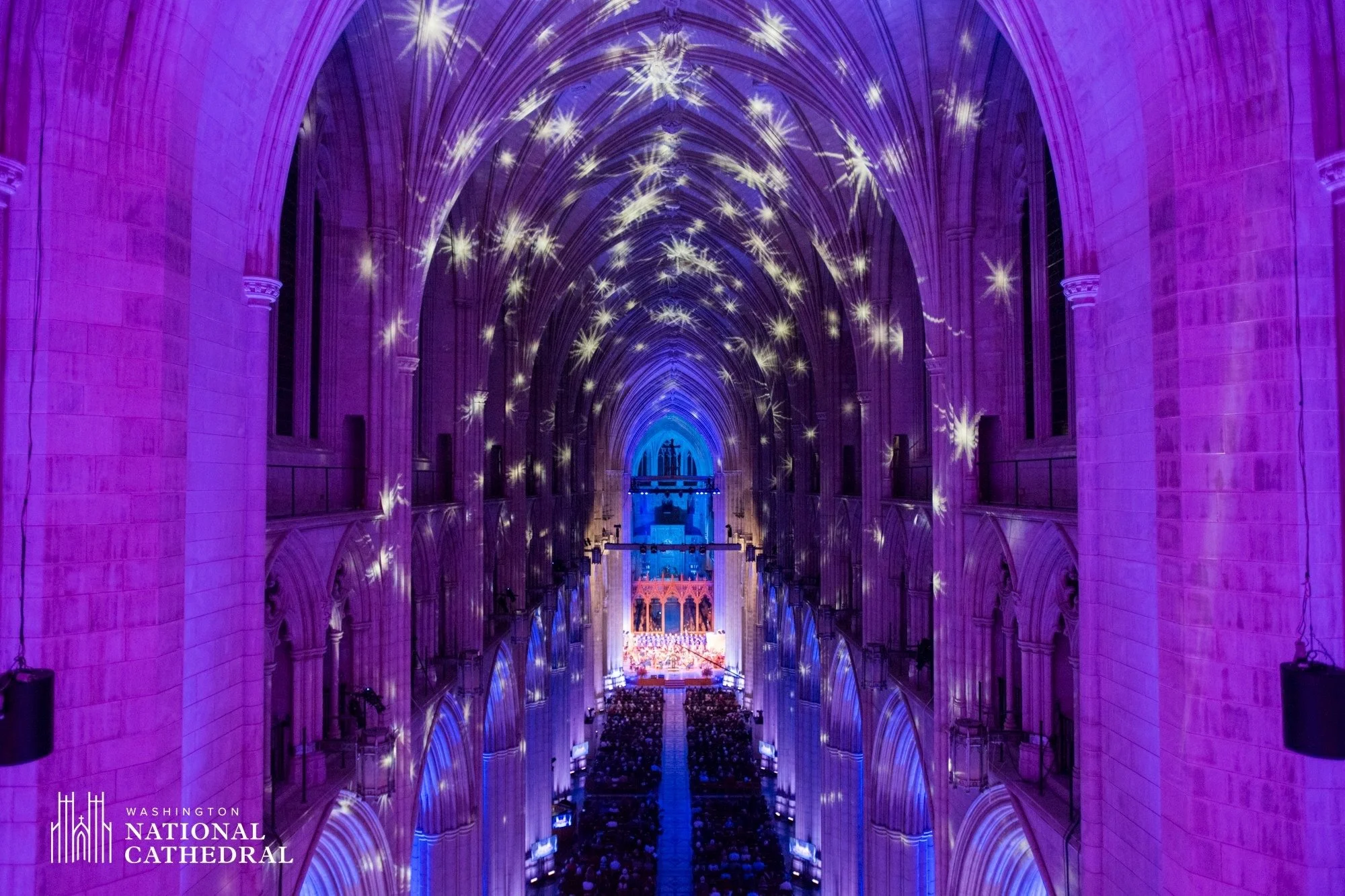 2018-11-21 02.54.08.jpg