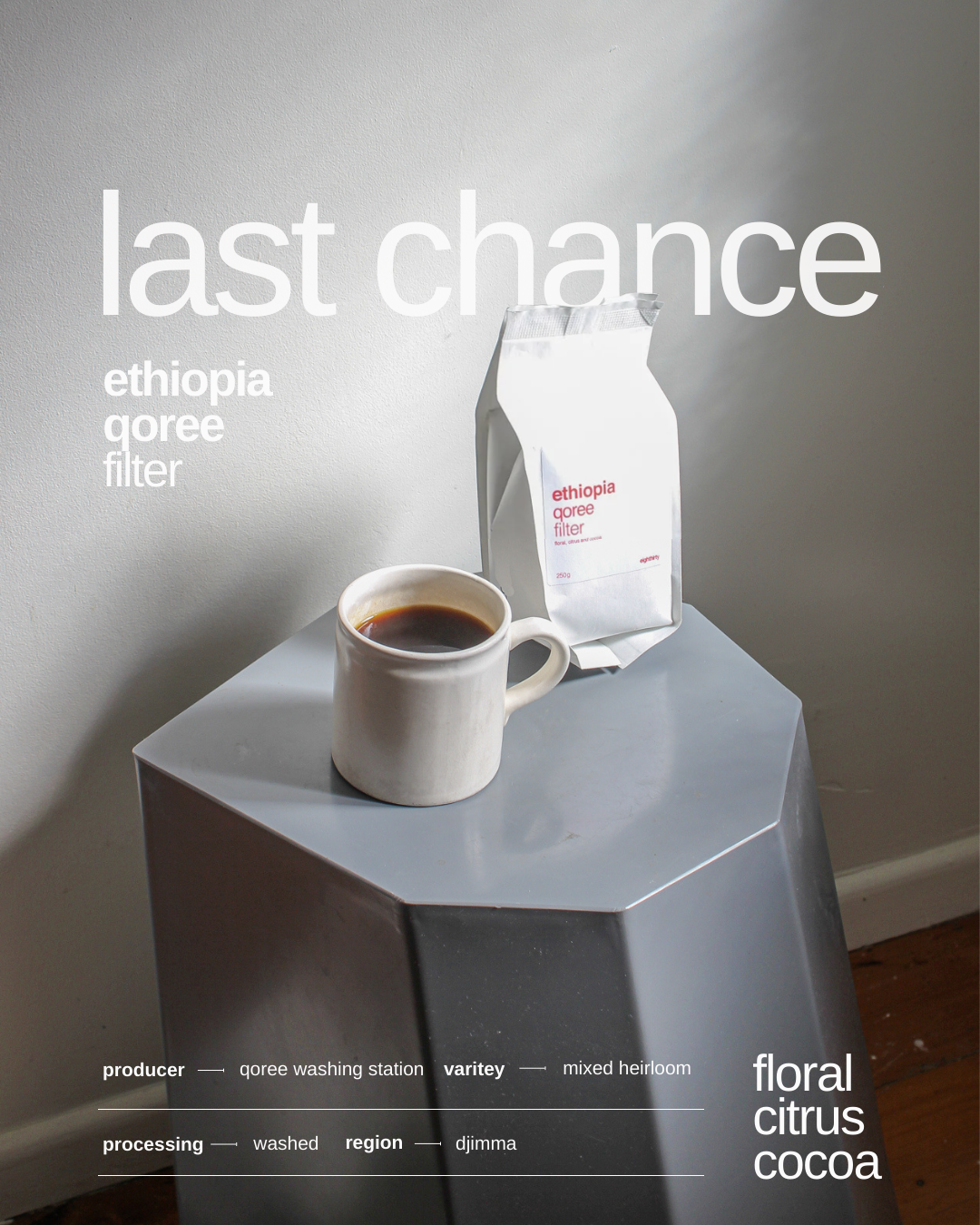 Last Chance (2).png