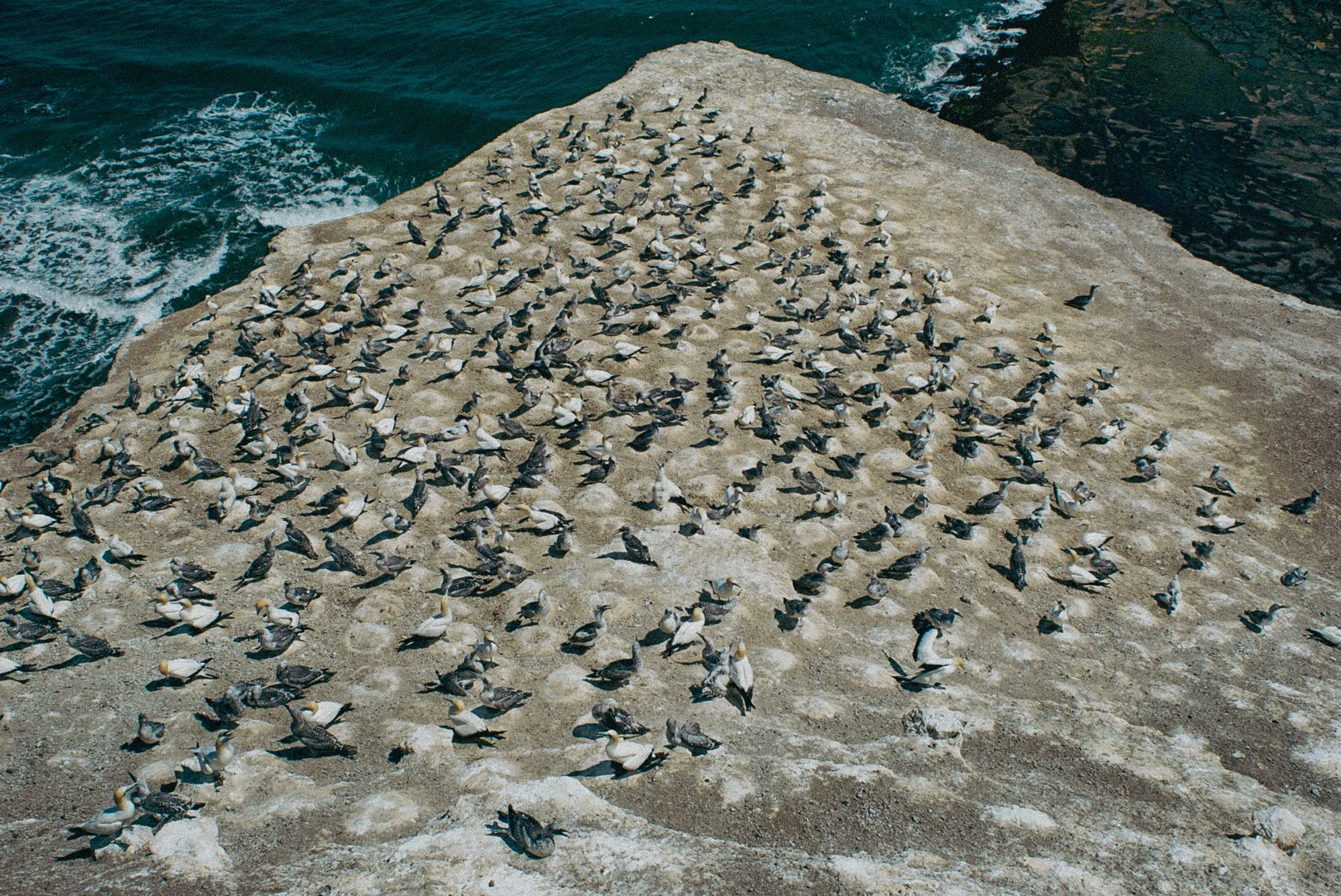 _DSC8603.jpg