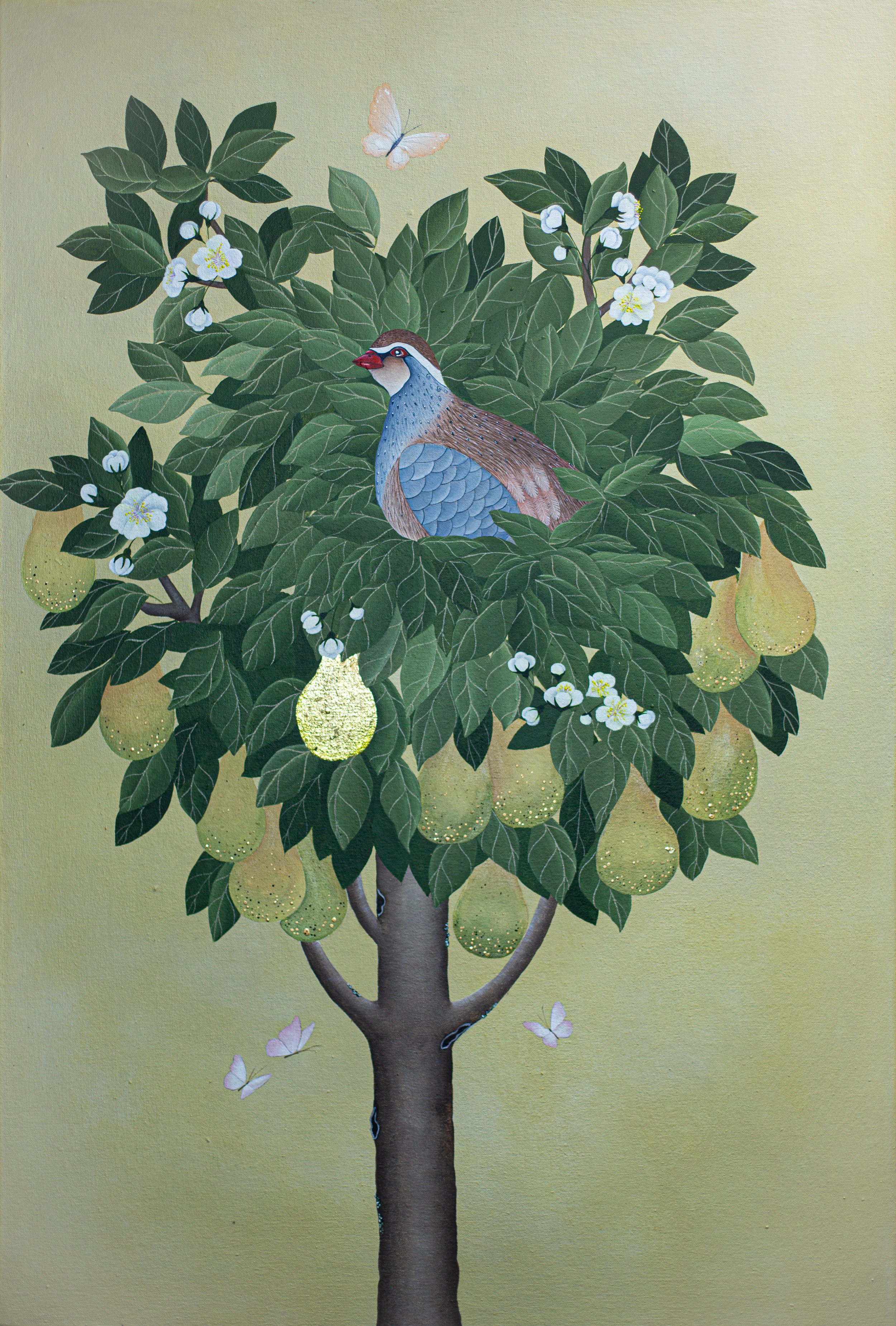 Partridge.jpg
