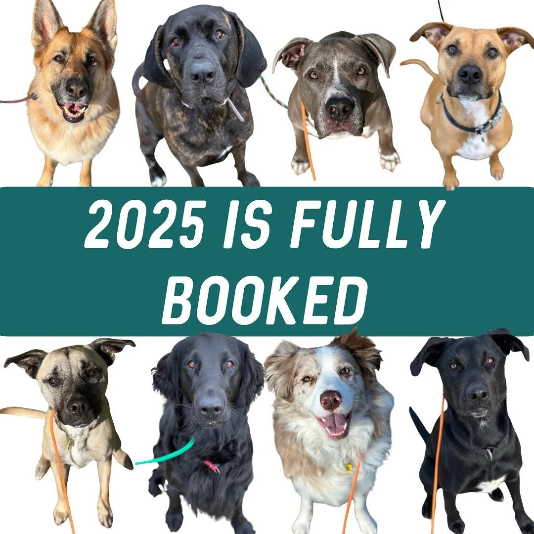 ✨ 2025 ✨

Wow! We are officially fully booked for 2025 and are now opening bookings for January 2026 🎉

If you&rsquo;ve sent through an enquiry, please check your emails for more information! 

Thank you so much for the ongoing support, it truly mea
