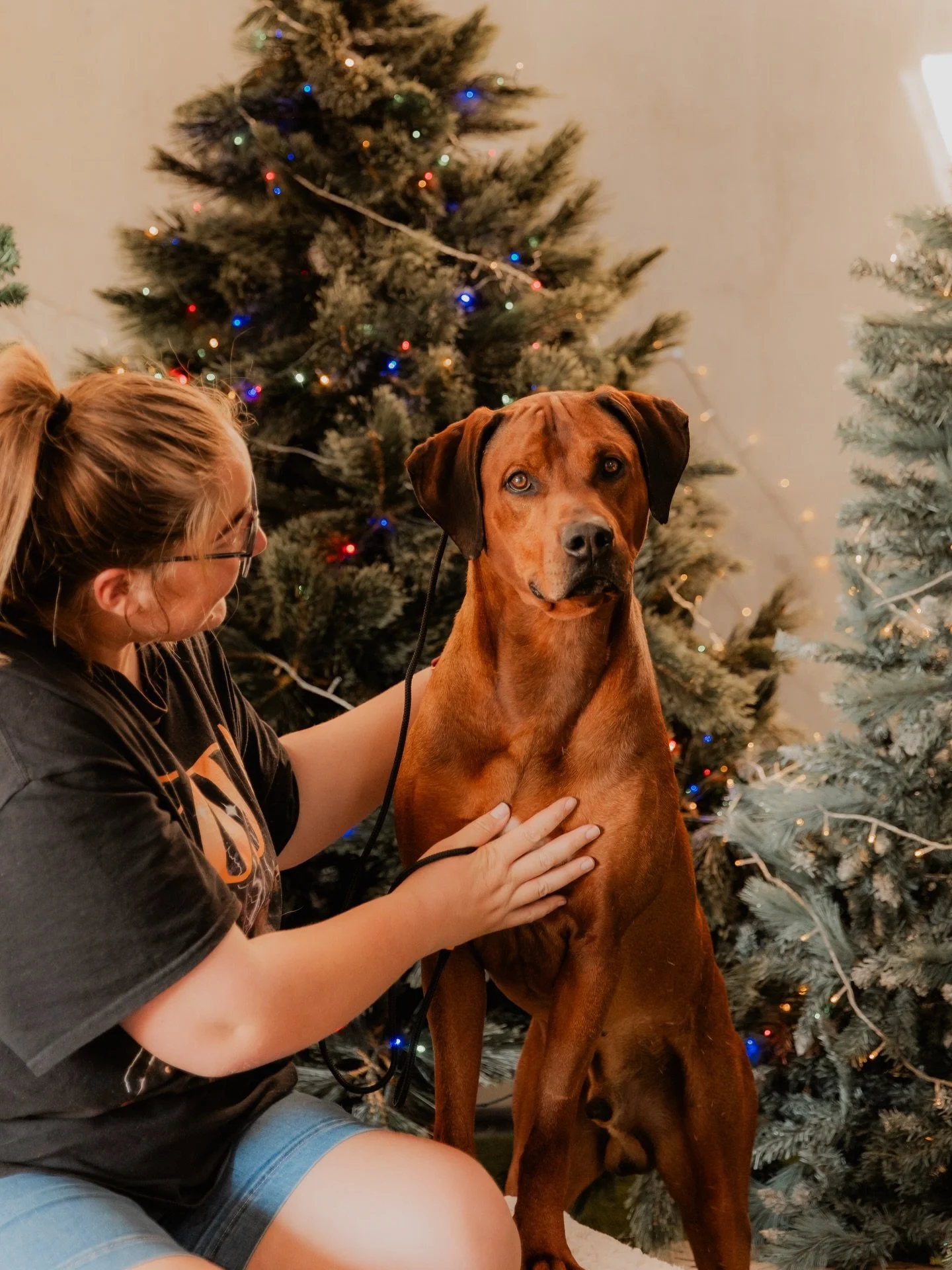 🎄 Merry Christmas 🎄

Wishing you all a Merry Christmas from my family to yours 🧡

May your day be filled with sunshine, good food, great company (or some peaceful solo time!) and plenty of doggo cuddles 🐾

Sending my love and thinking of those wh