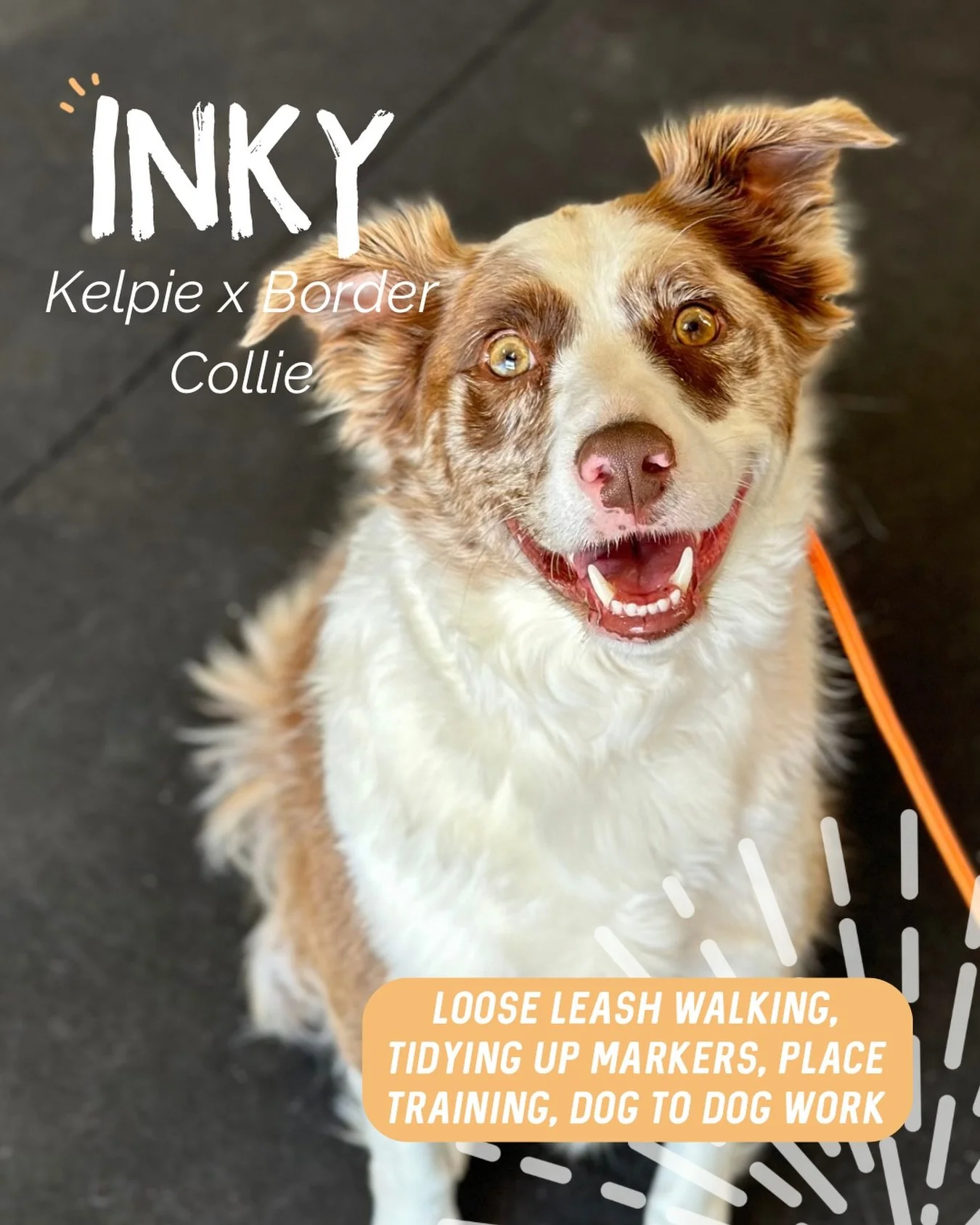 ✨ INKY ✨ 

Gorgeous Inky is a bit nervous and unsure of the world and likes to use her voice to create space. 

During our session we had a few focuses, but everything came back to building confidence and providing clarity. We worked on&hellip;

➡️ C