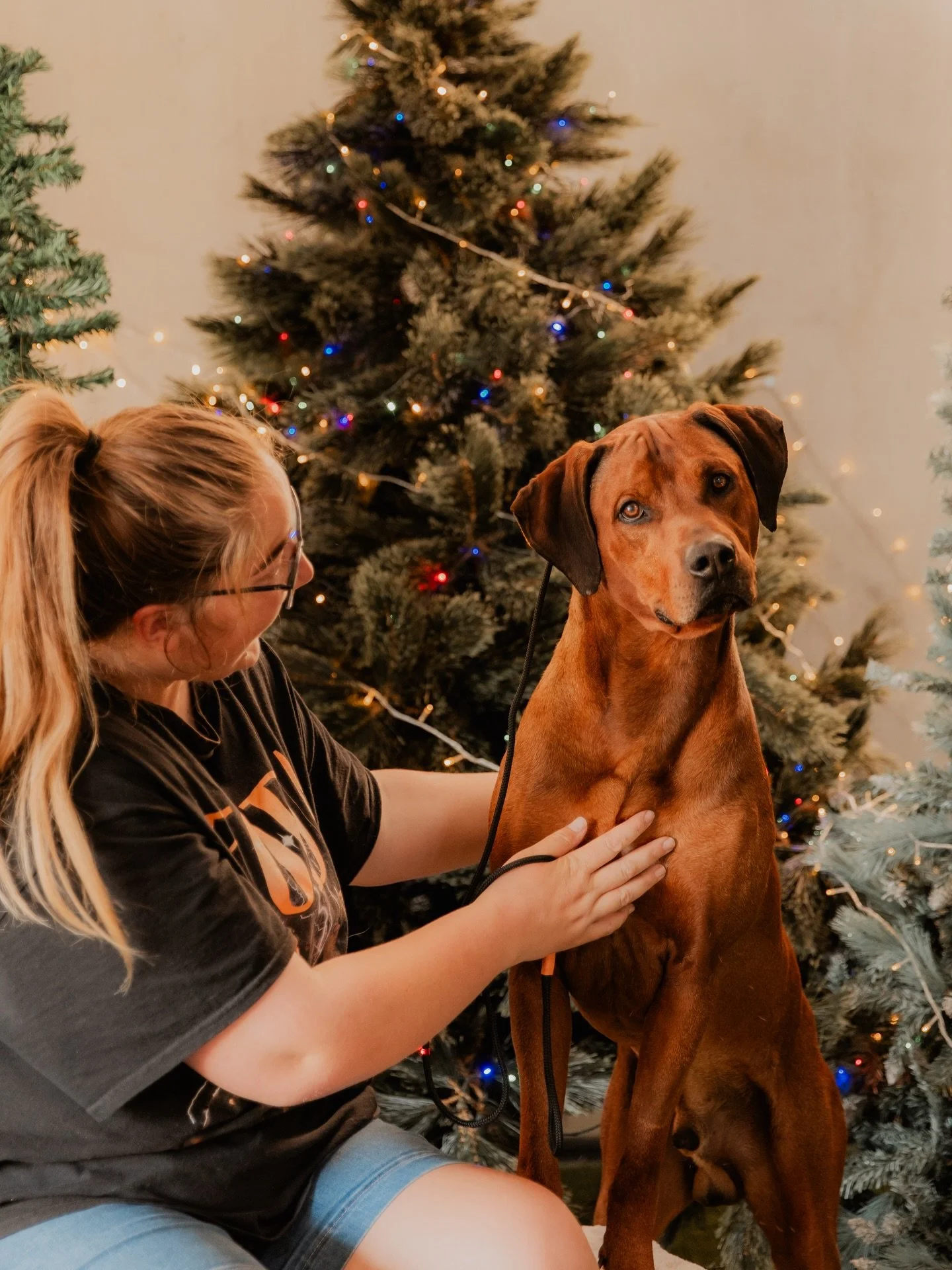 🎉 5 YEARS OLD 🎉

Happy 5th Birthday Murphy 🥹

Also affectionately known as Smoosh, Smurf and Spud.

You&rsquo;re still the same uncoordinated, full-of-beans, handsome man we&rsquo;ve all come to know and love.

From an 8 week old pup I could hold 