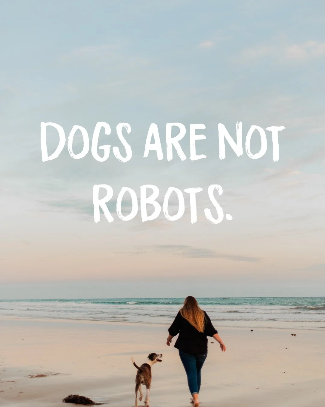 🤖🤖🤖

My dogs aren&rsquo;t perfect and they&rsquo;re not meant to be.

We live in a world of 10 second clips showing &ldquo;perfect&rdquo; dogs, and it&rsquo;s so easy to start expecting that from our own. But that&rsquo;s not reality. Dogs are sen