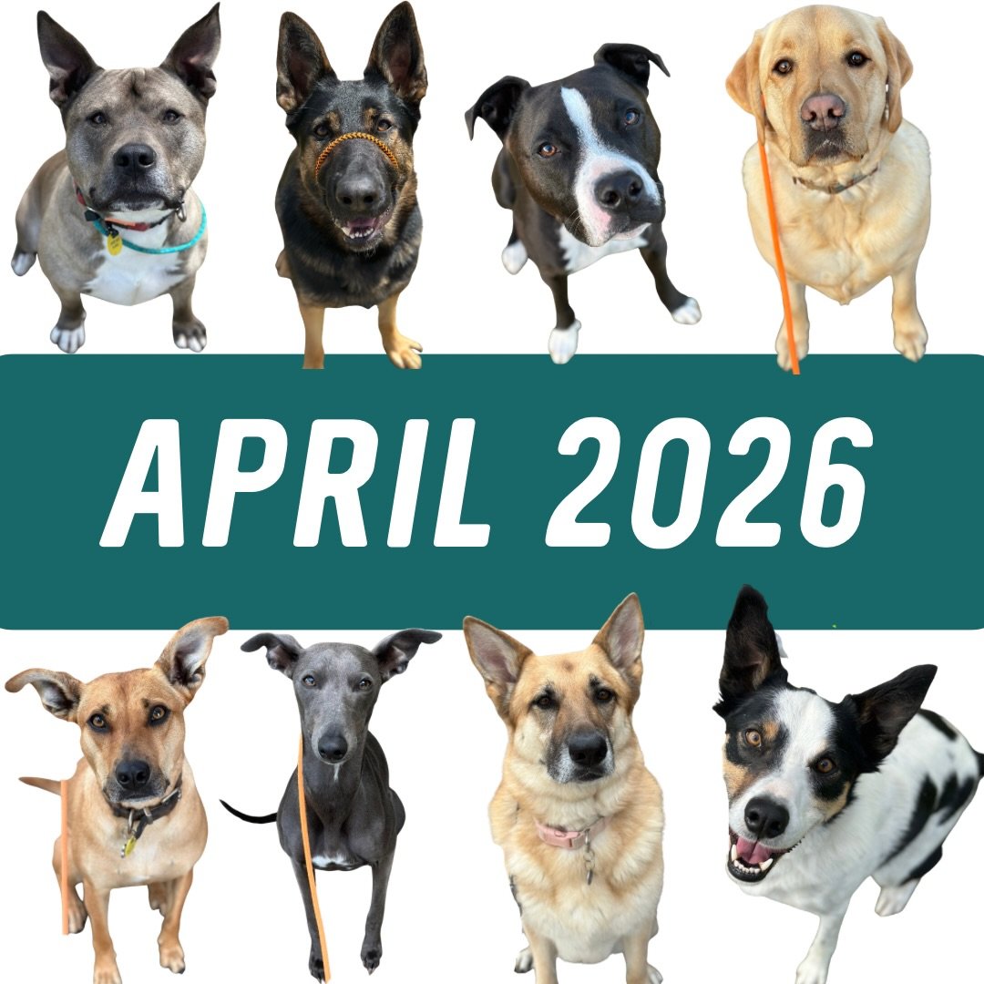 ✨ April 2026 ✨

I can&rsquo;t believe we&rsquo;re already heading into April 🤯 it&rsquo;s shaping up to be a big one 💪

🔥 Private Consults 🔥
Weekends are nearly gone! We only have April 26th left for weekend bookings.

Next available weekday spot