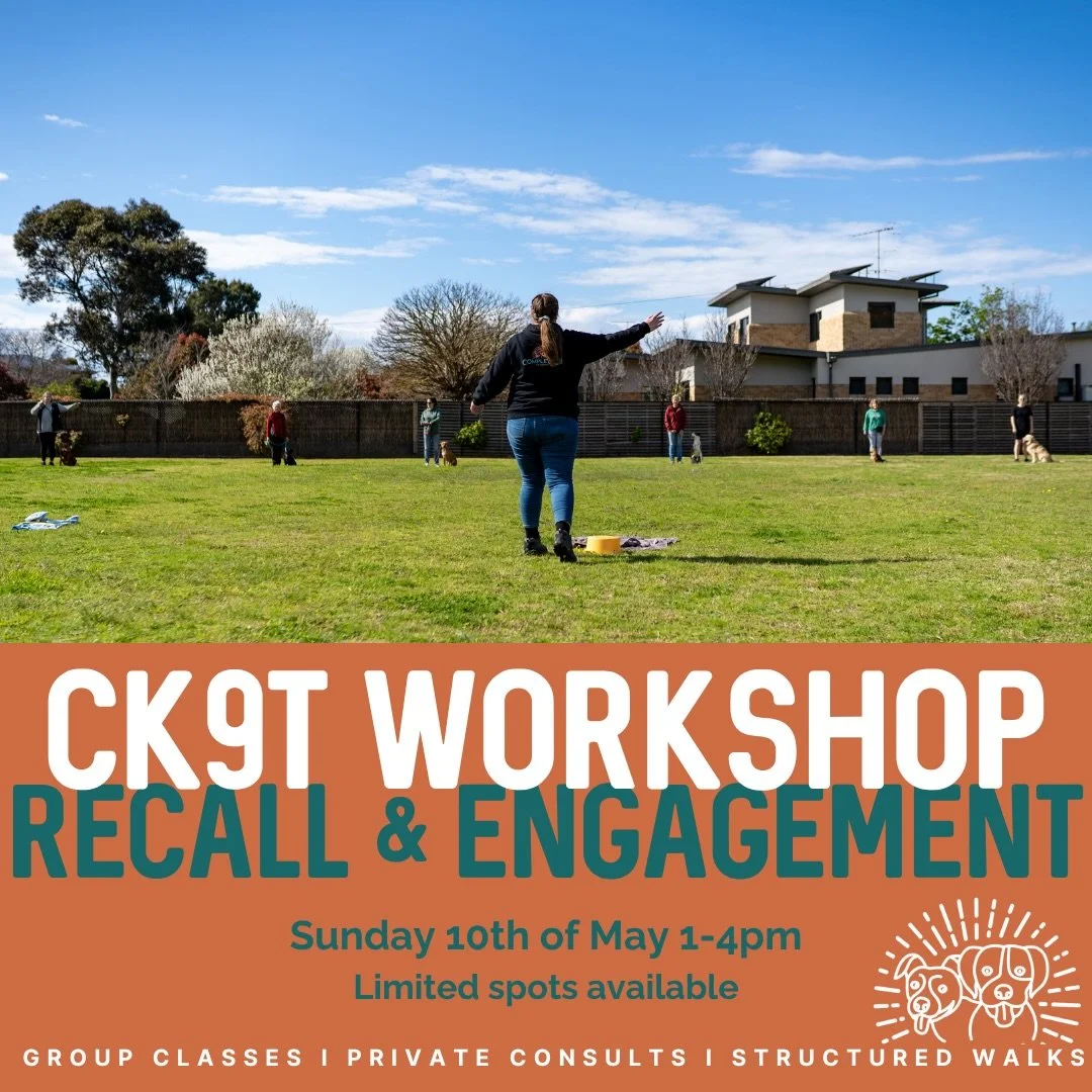 🔥 Recall + Engagement Workshop 🔥

Want a recall you can actually rely on? This one&rsquo;s for you 👇

Join us for our Recall + Engagement Workshop, designed to build two of the most important skills for any dog and handler 💪

Because here&rsquo;s